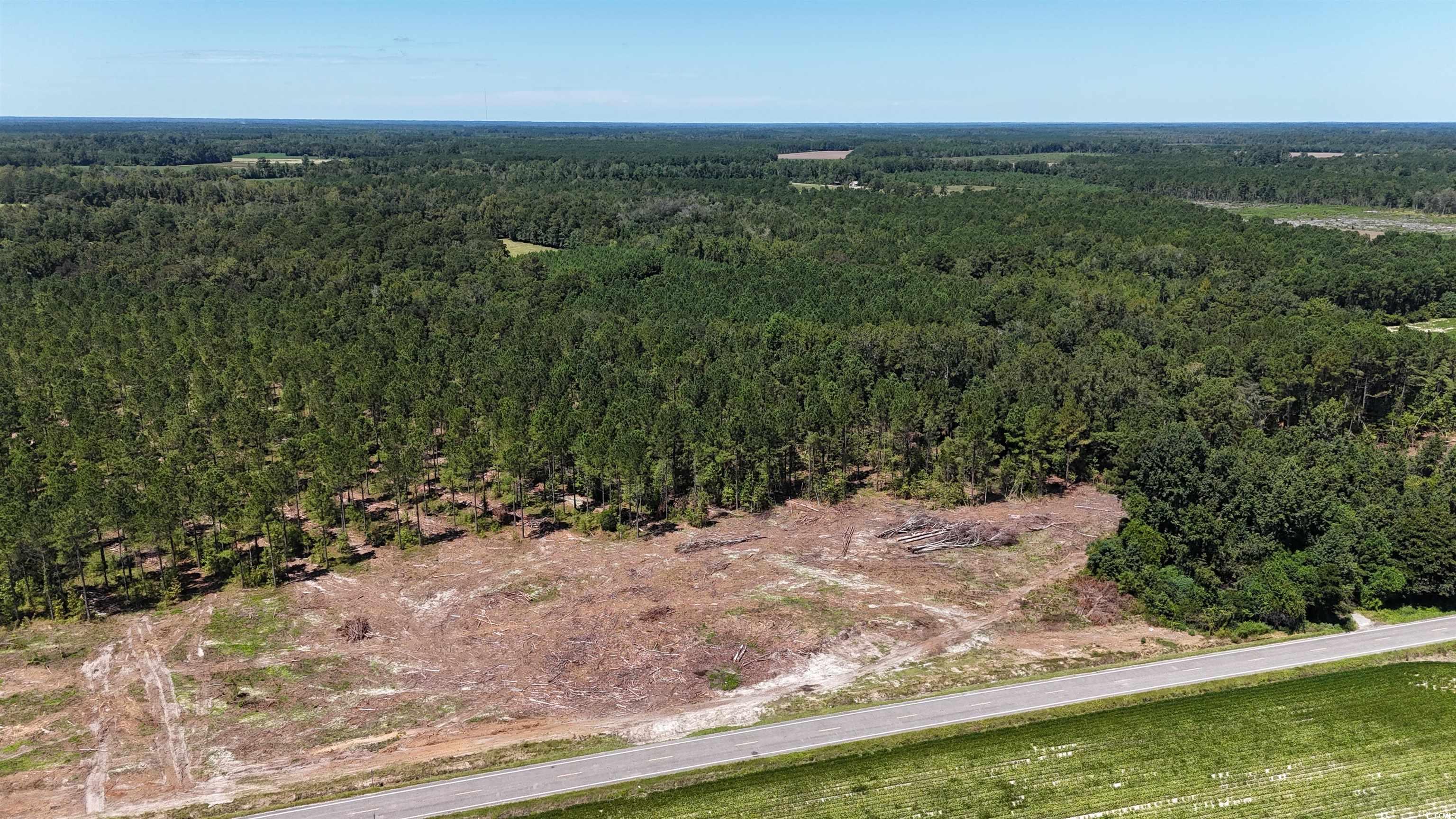 Tbd Highway 19 Property Photo 2
