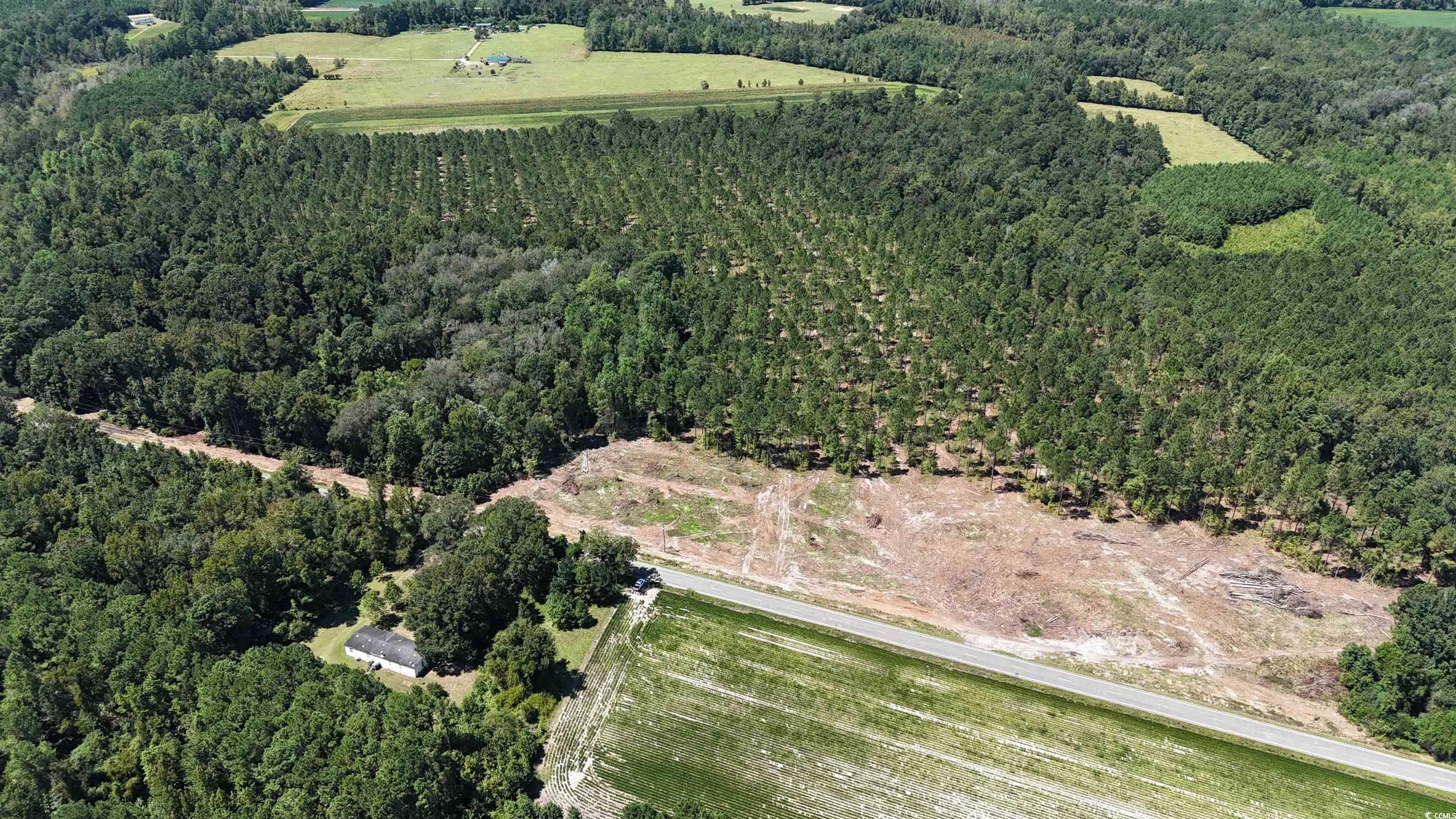 Tbd Highway 19 Property Photo 4