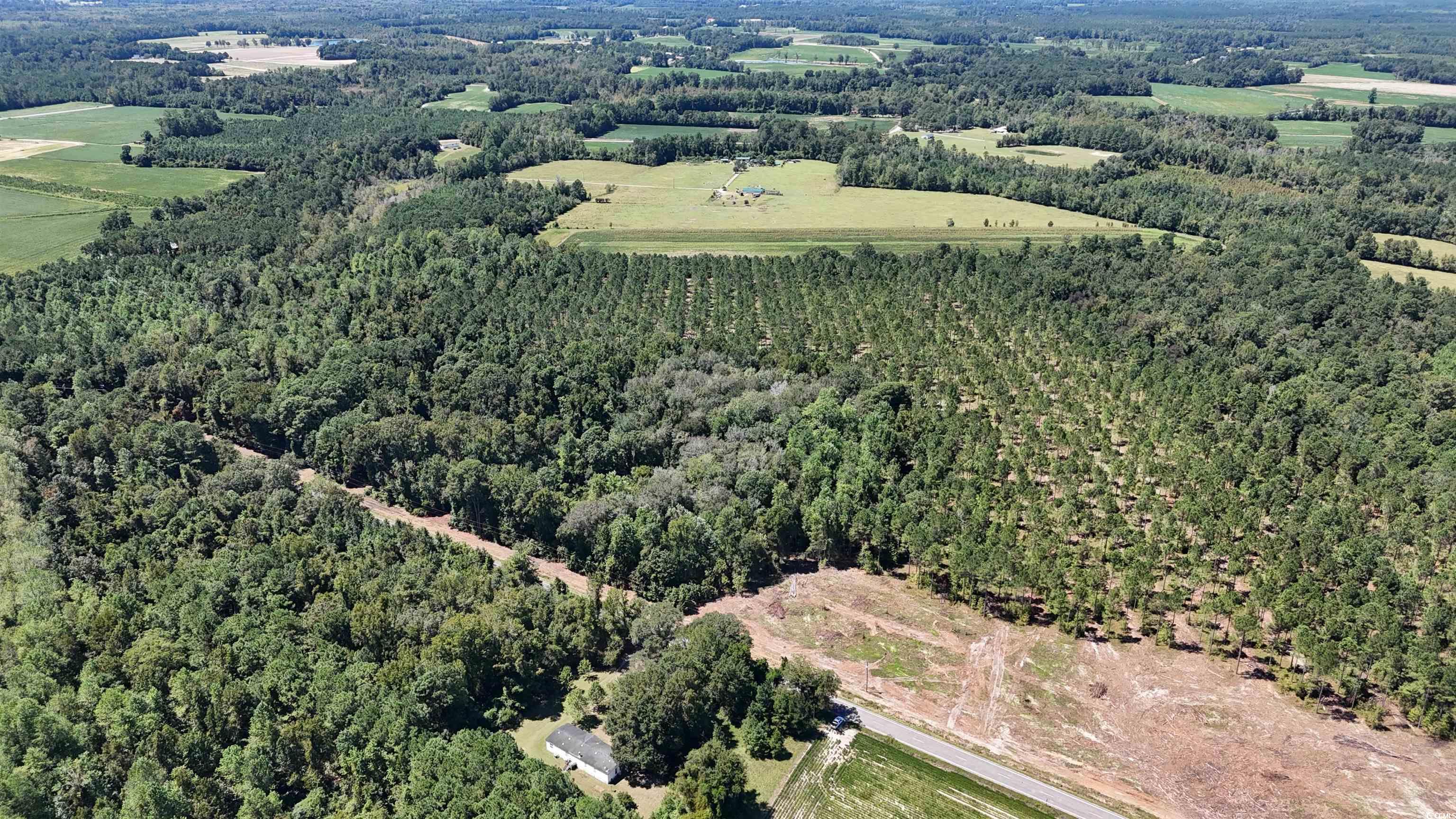 Tbd Highway 19 Property Photo 5