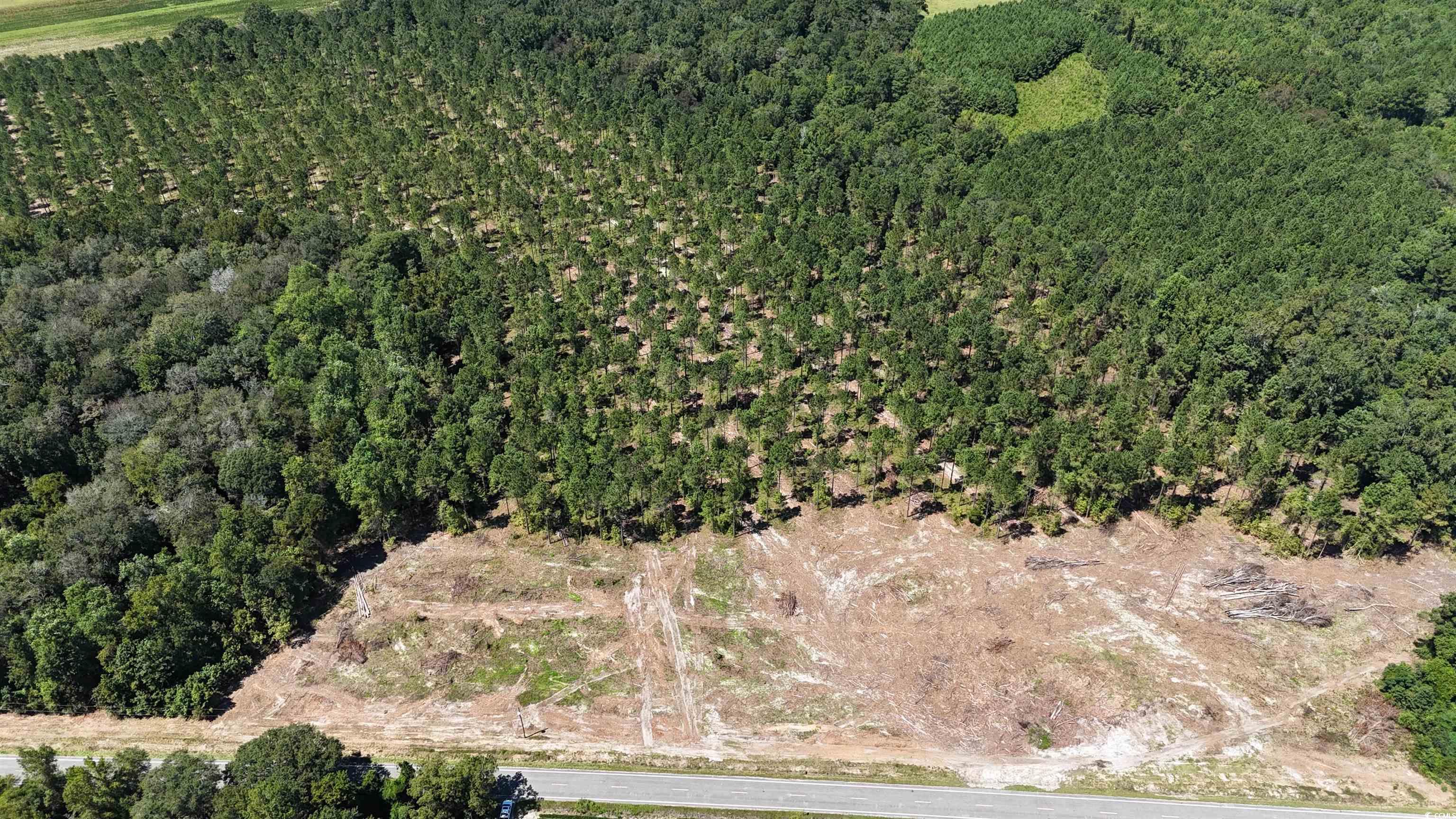 Tbd Highway 19 Property Photo 6