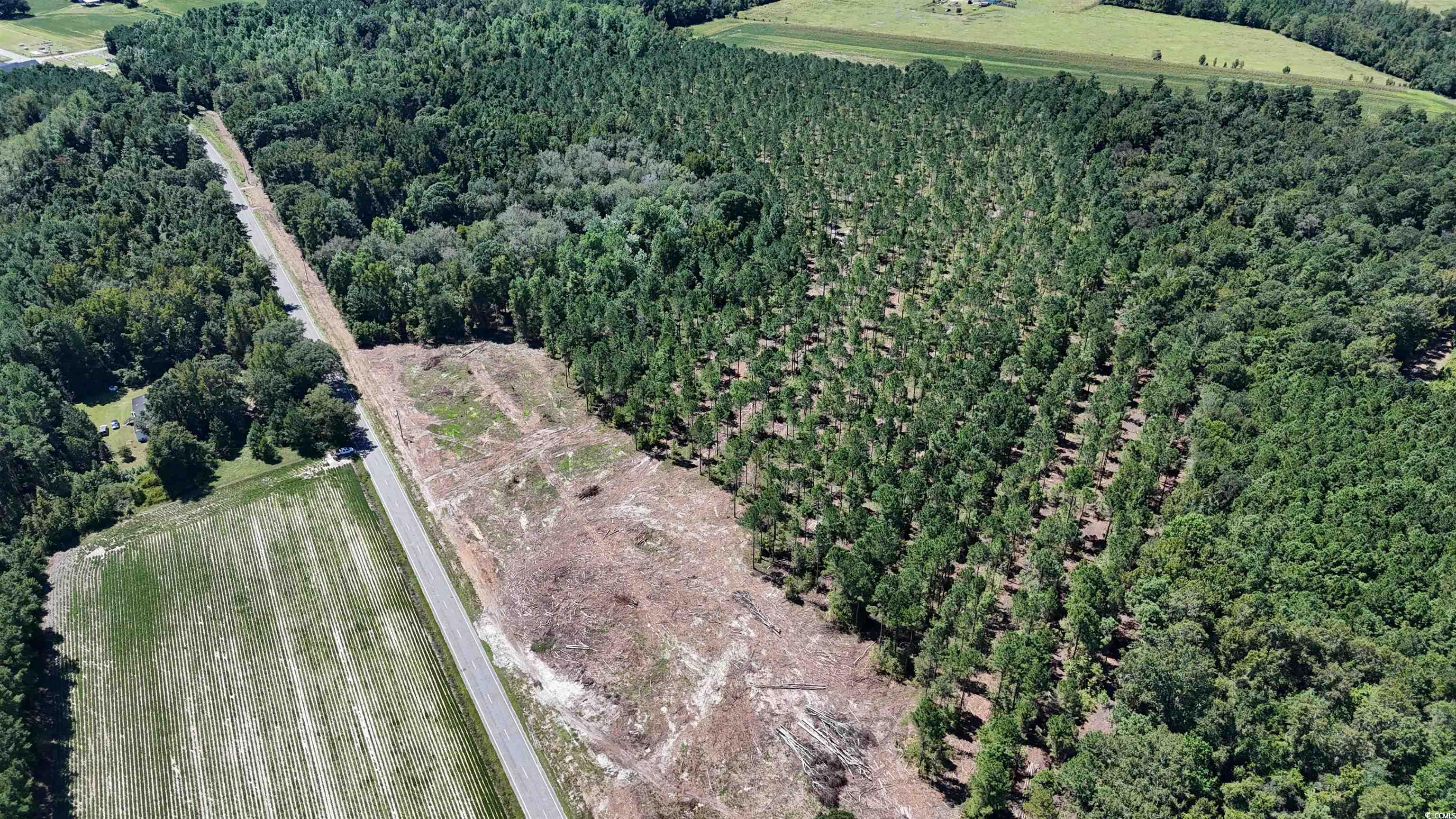 Tbd Highway 19 Property Photo 7