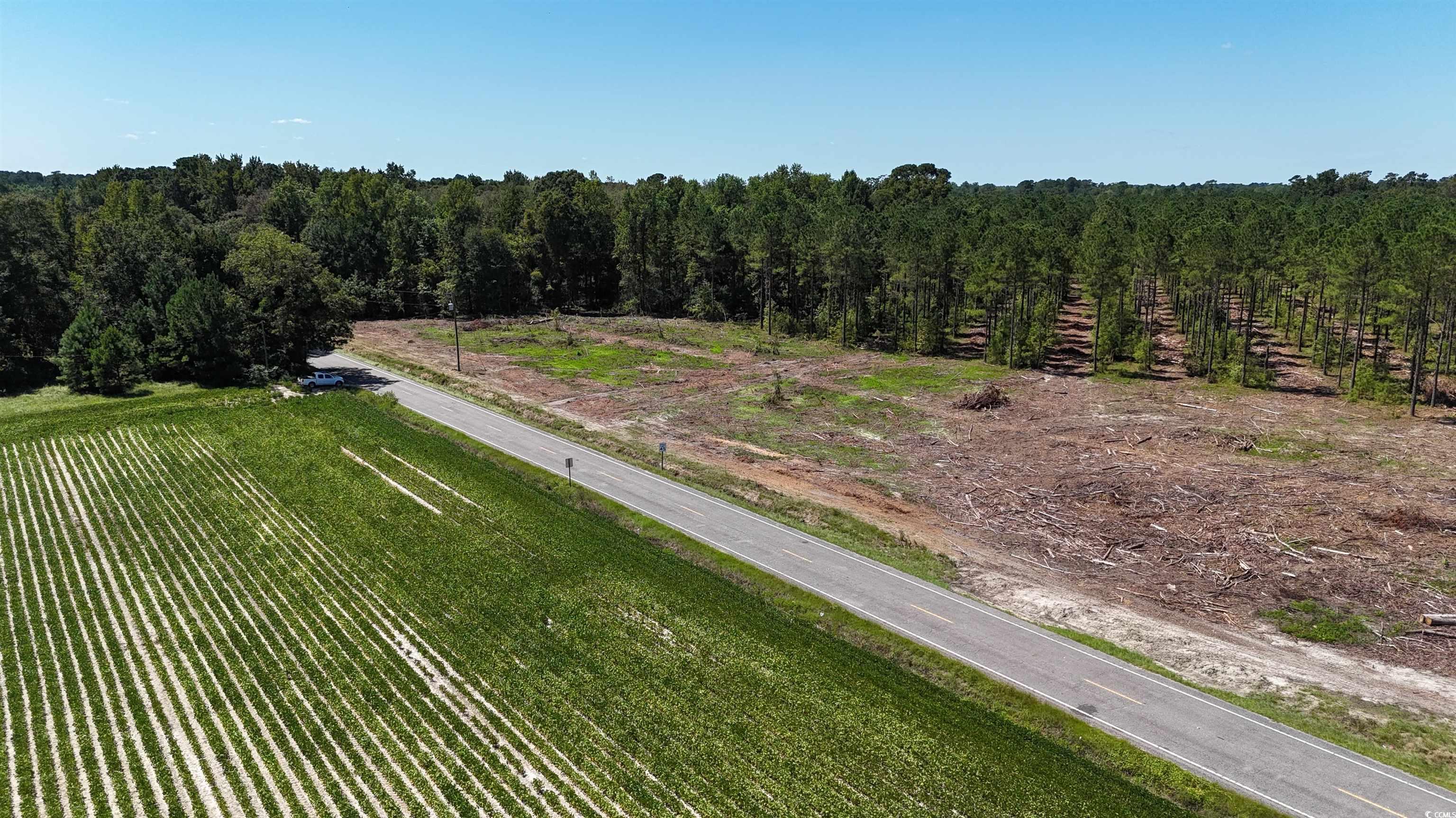 Tbd Highway 19 Property Photo 10