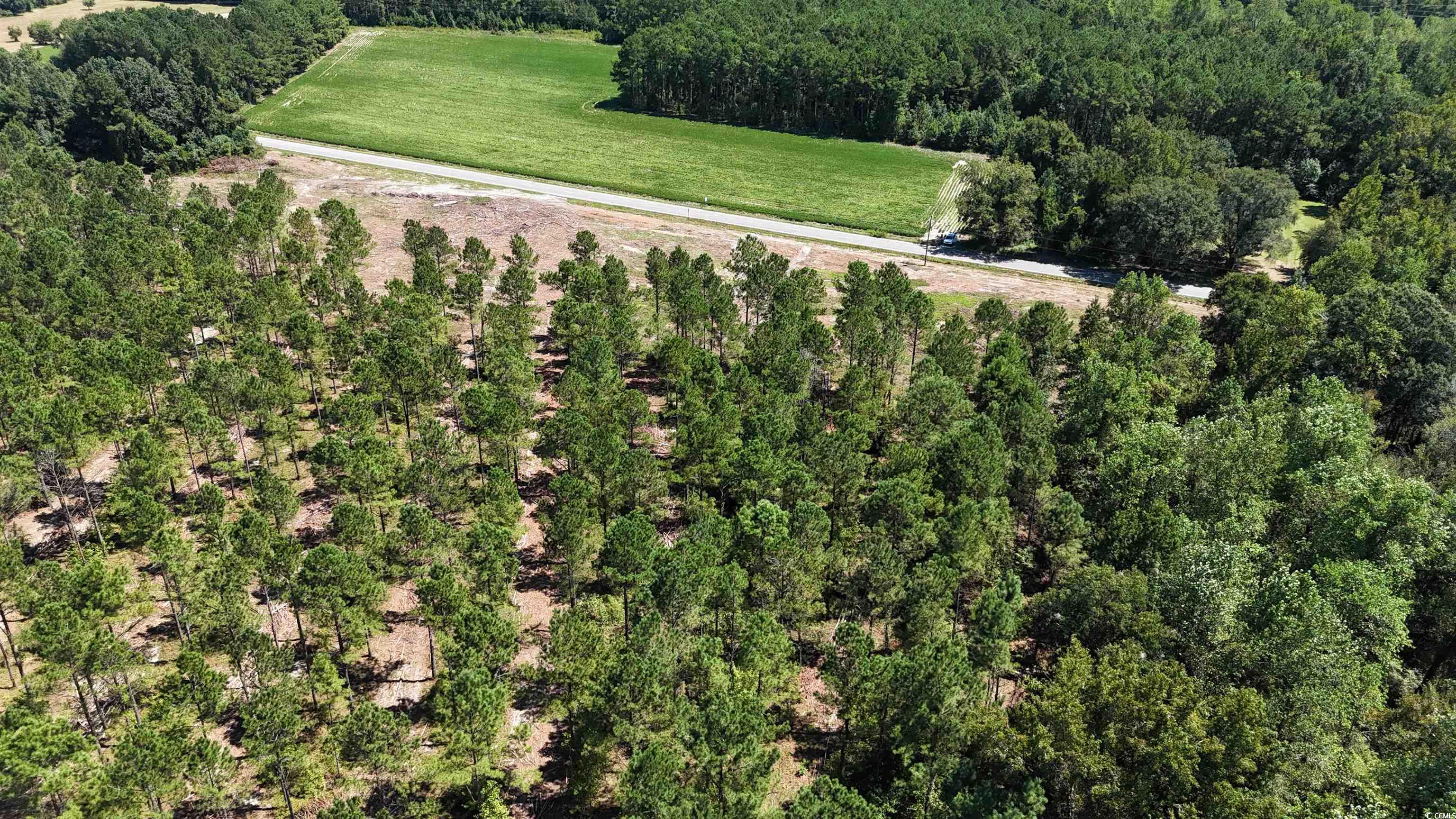 Tbd Highway 19 Property Photo 15