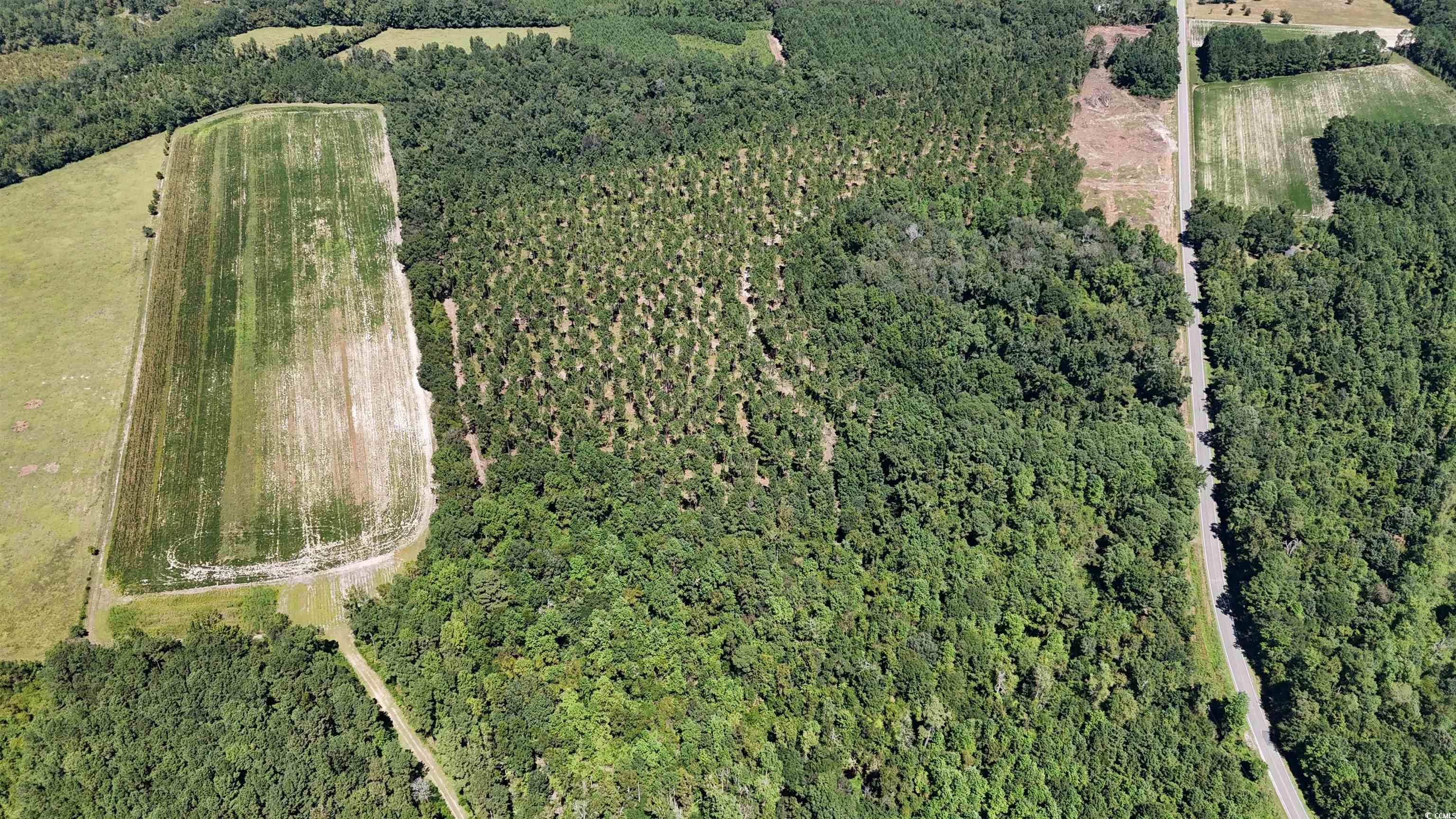 Tbd Highway 19 Property Photo 17