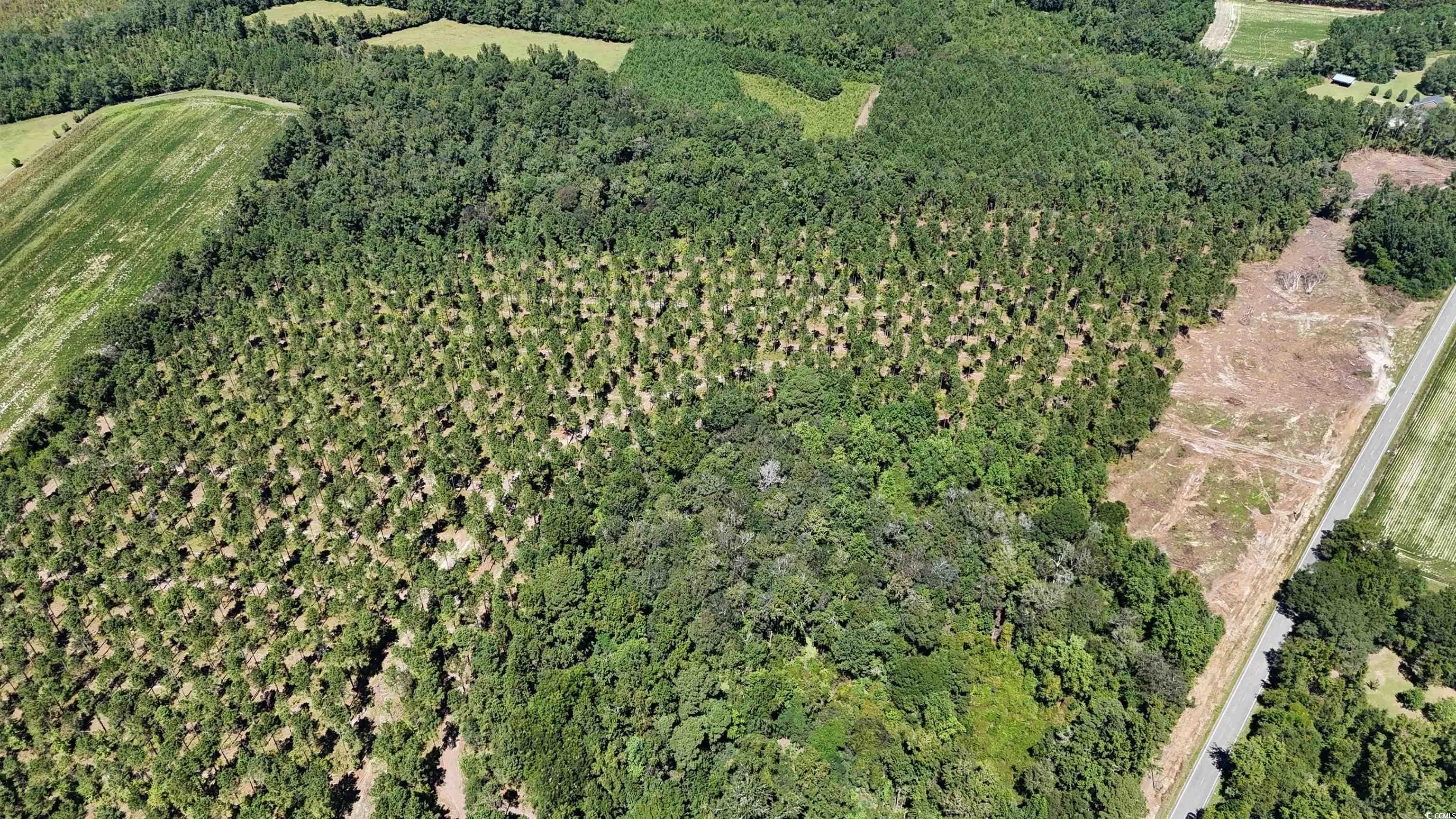 Tbd Highway 19 Property Photo 18