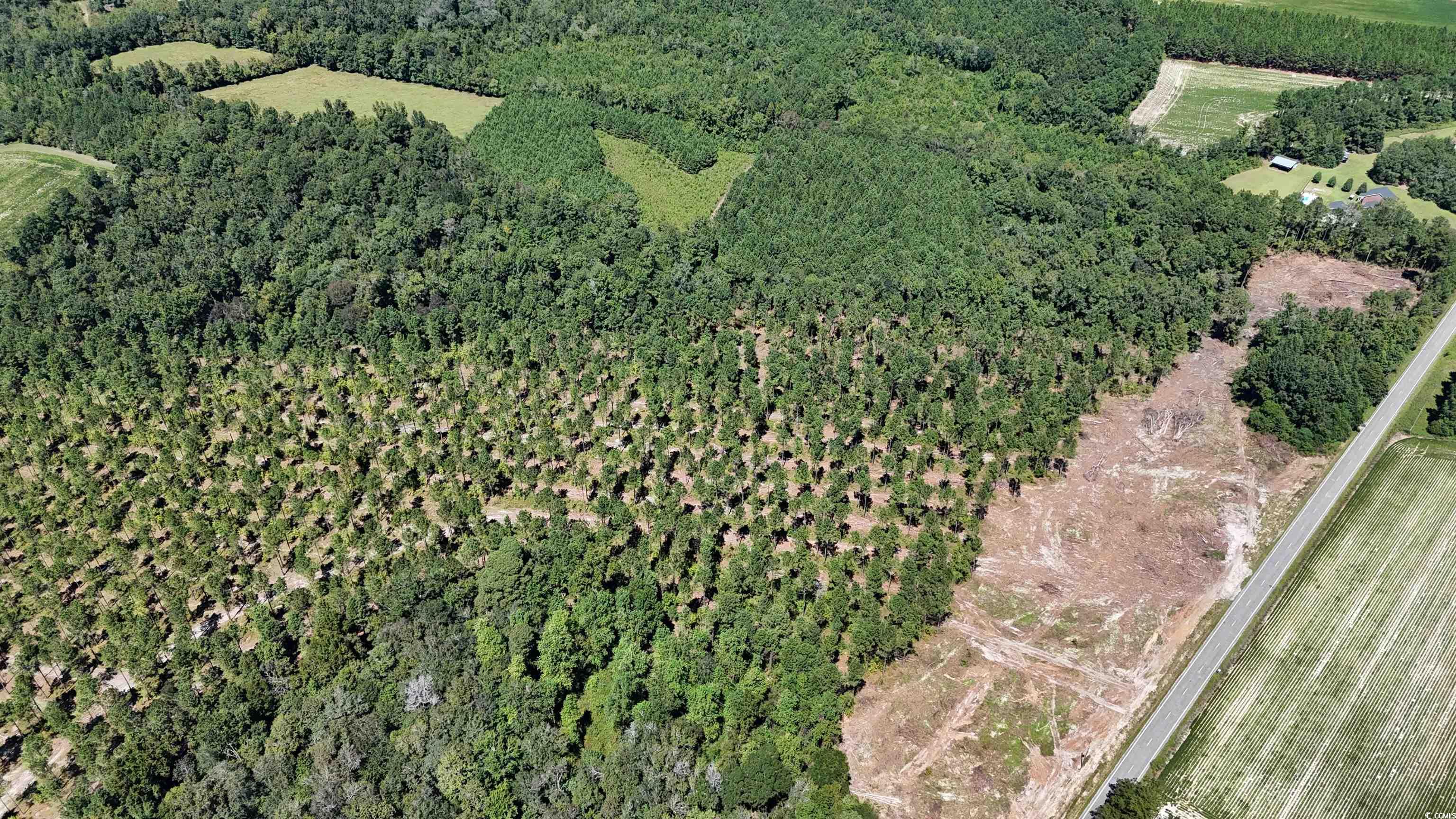 Tbd Highway 19 Property Photo 19