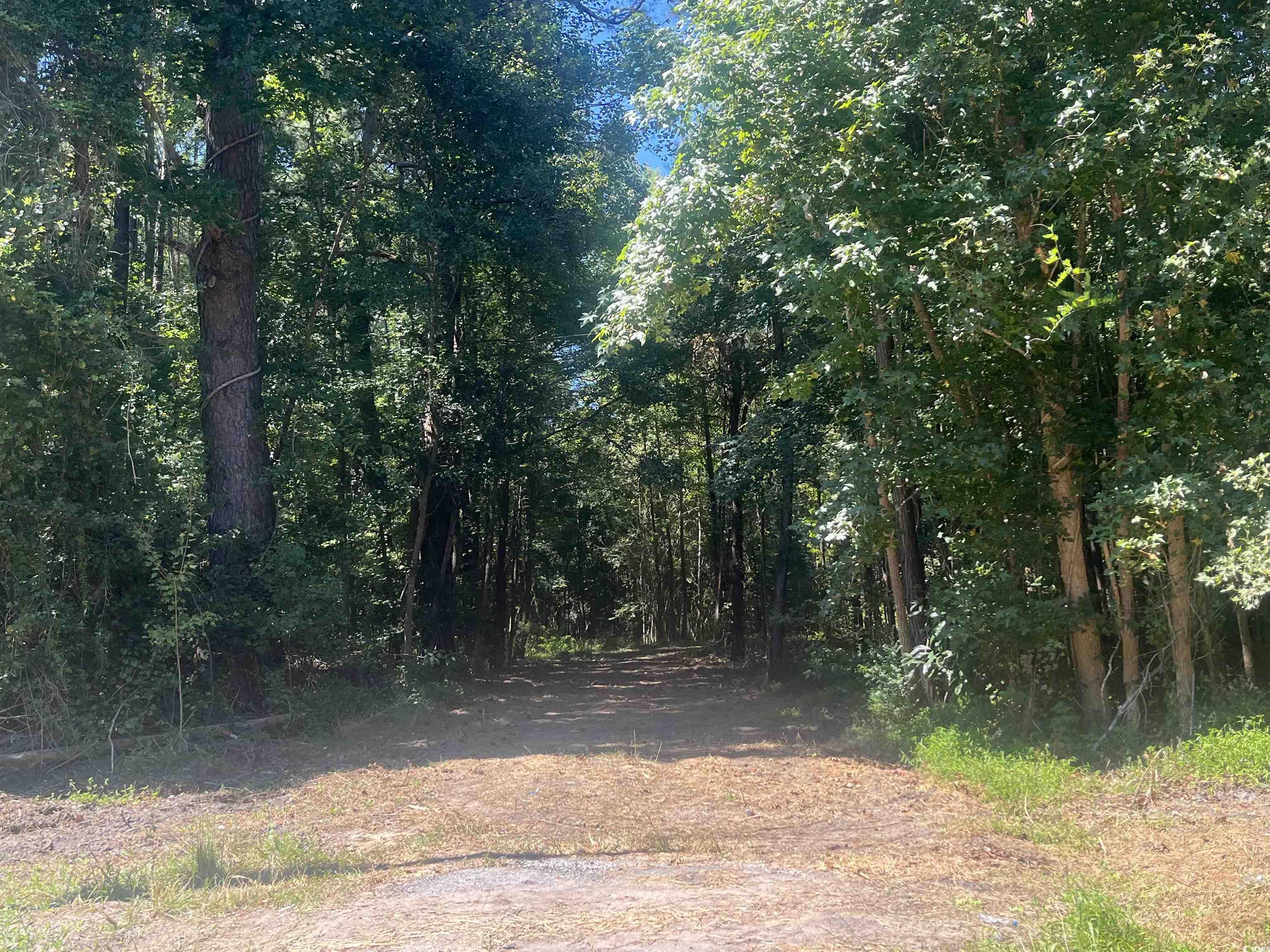 Tbd Highway 19 Property Photo 20
