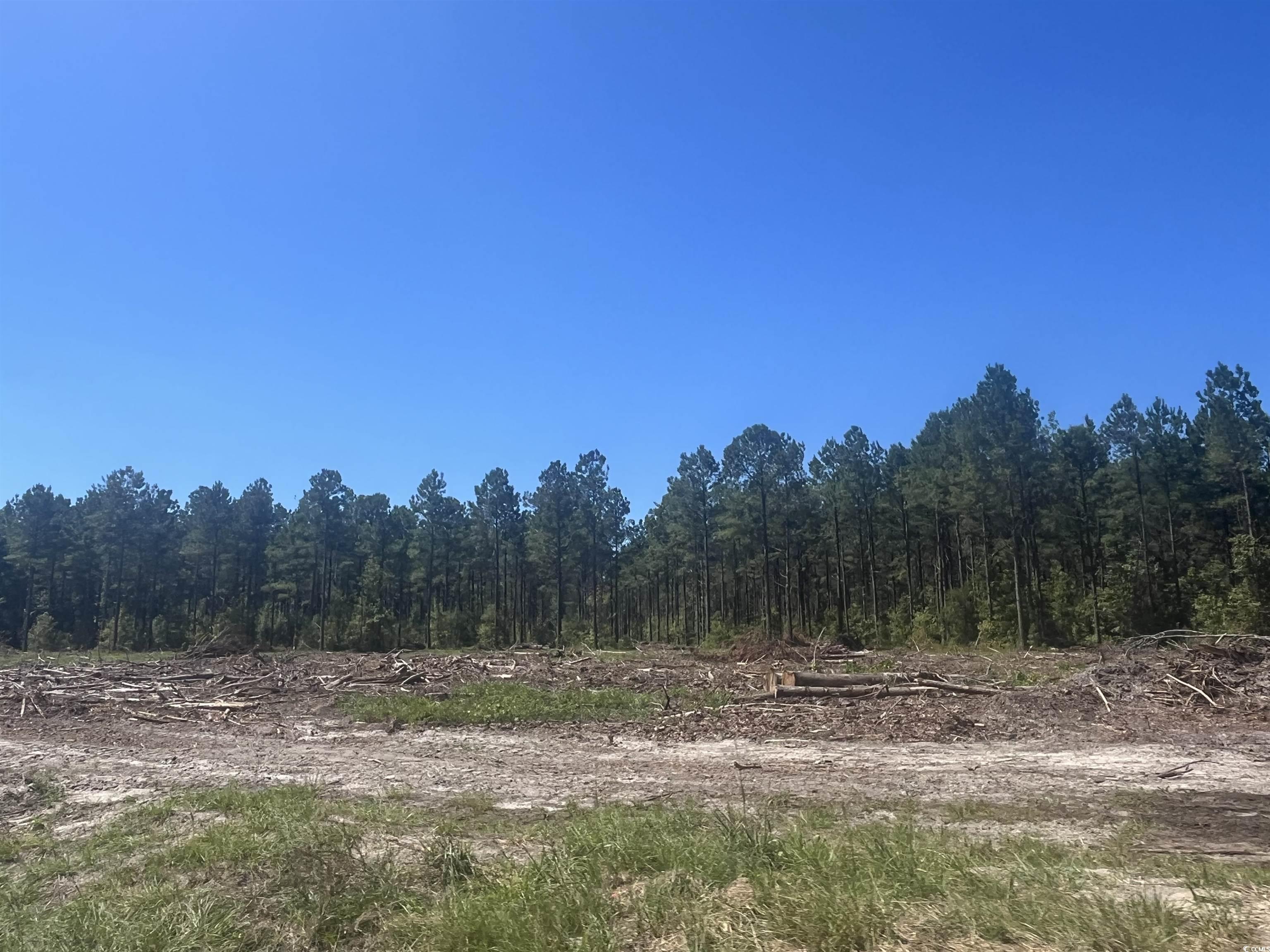 Tbd Highway 19 Property Photo 23