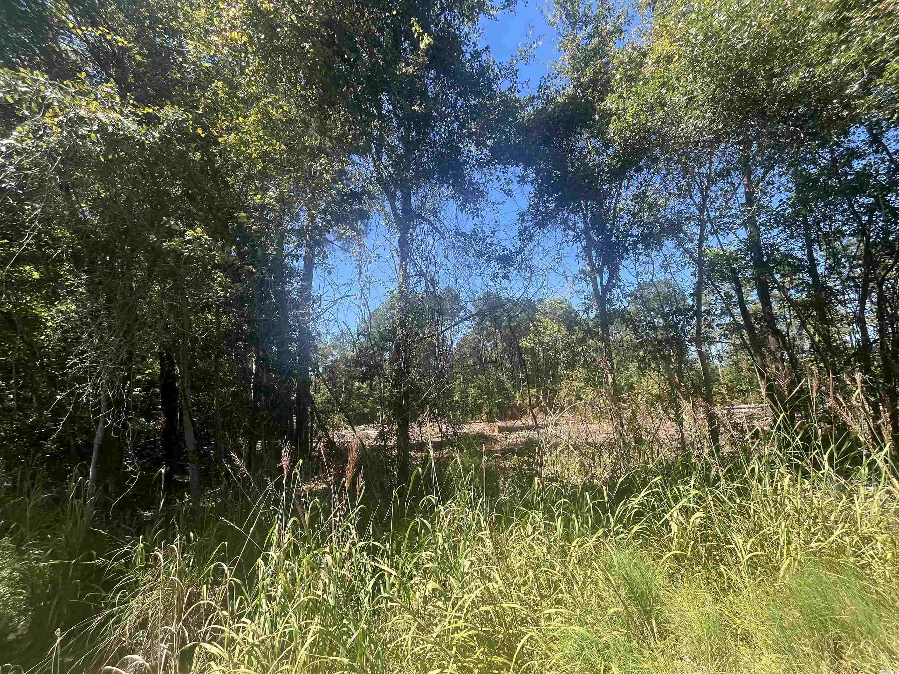 Tbd Highway 19 Property Photo 25
