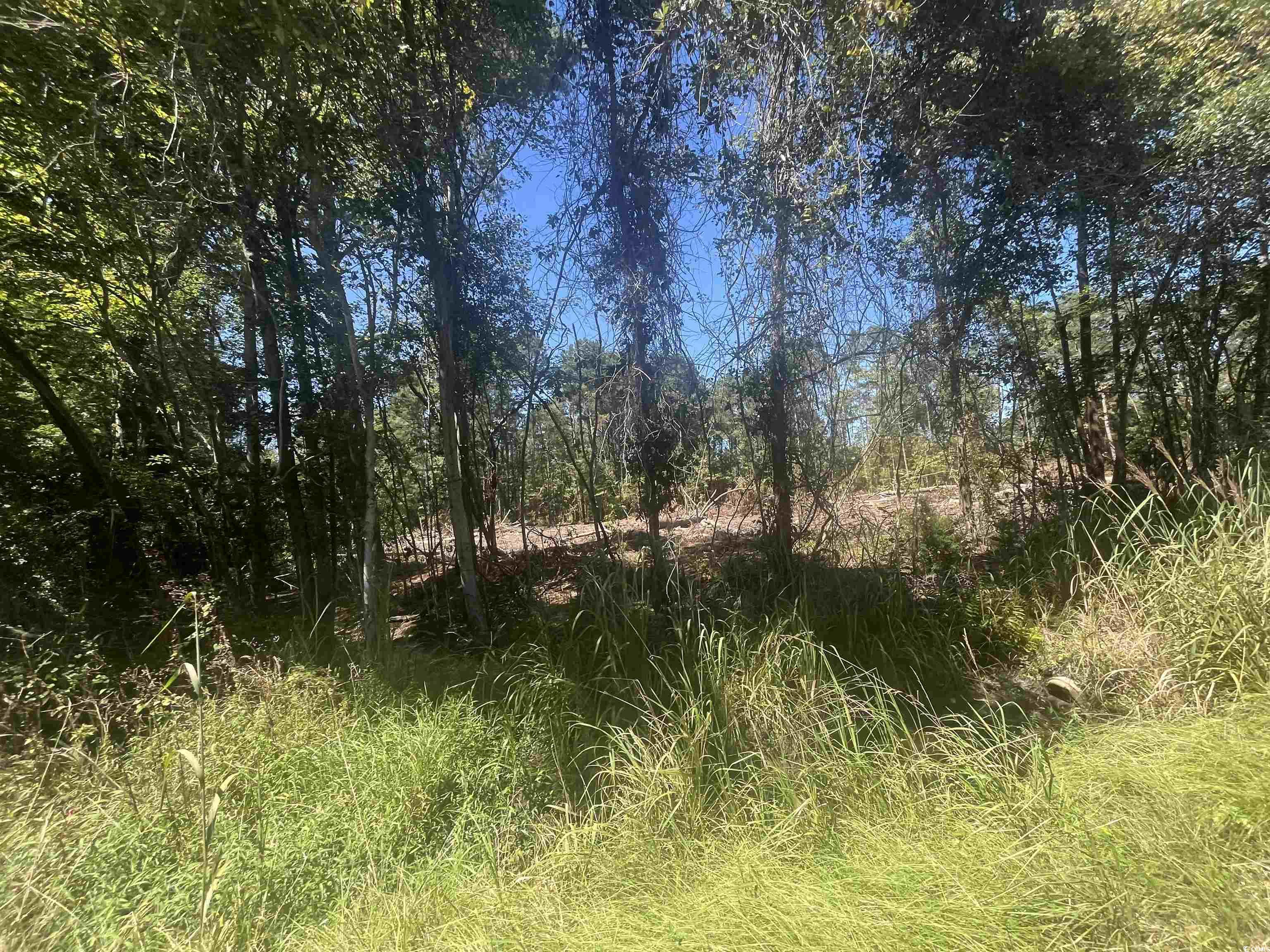 Tbd Highway 19 Property Photo 26