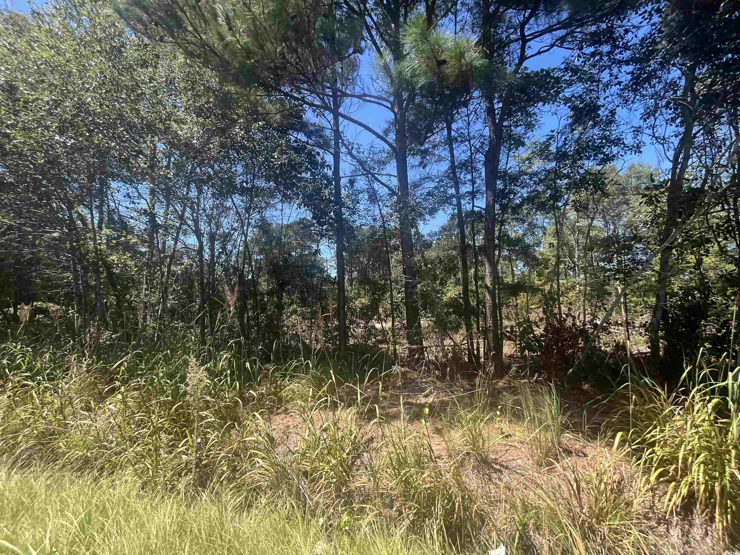 Tbd Highway 19 Property Photo 27