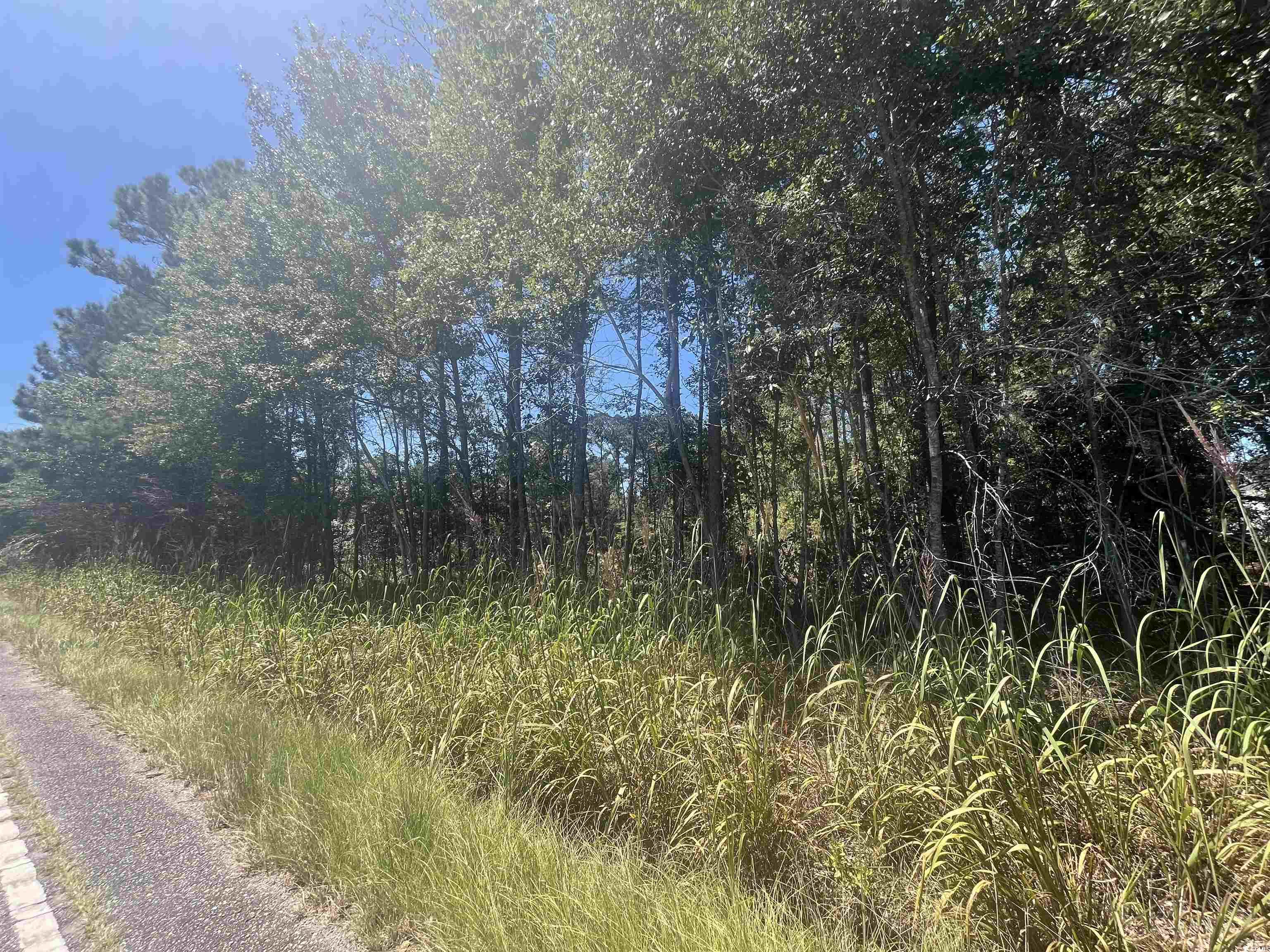 Tbd Highway 19 Property Photo 28