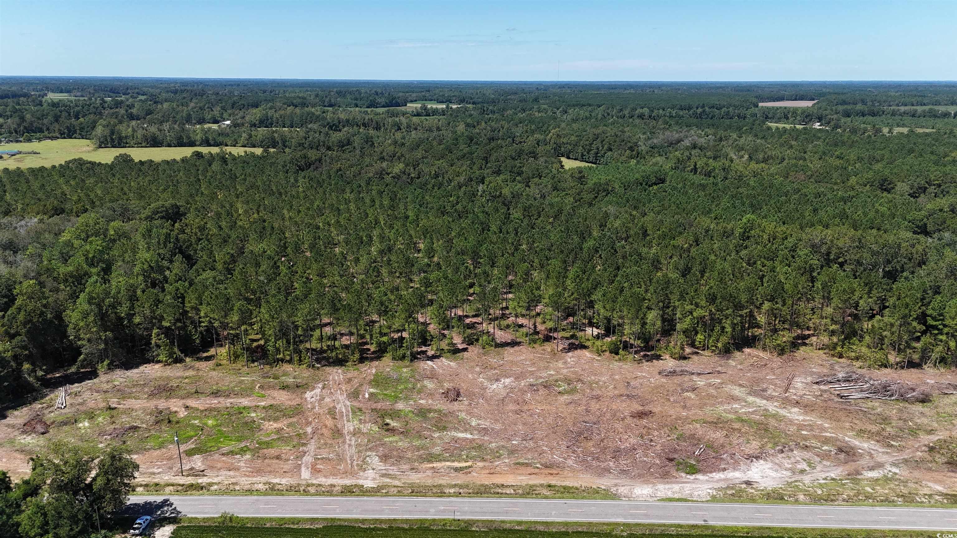 TBD Highway 19 Property Photo 1