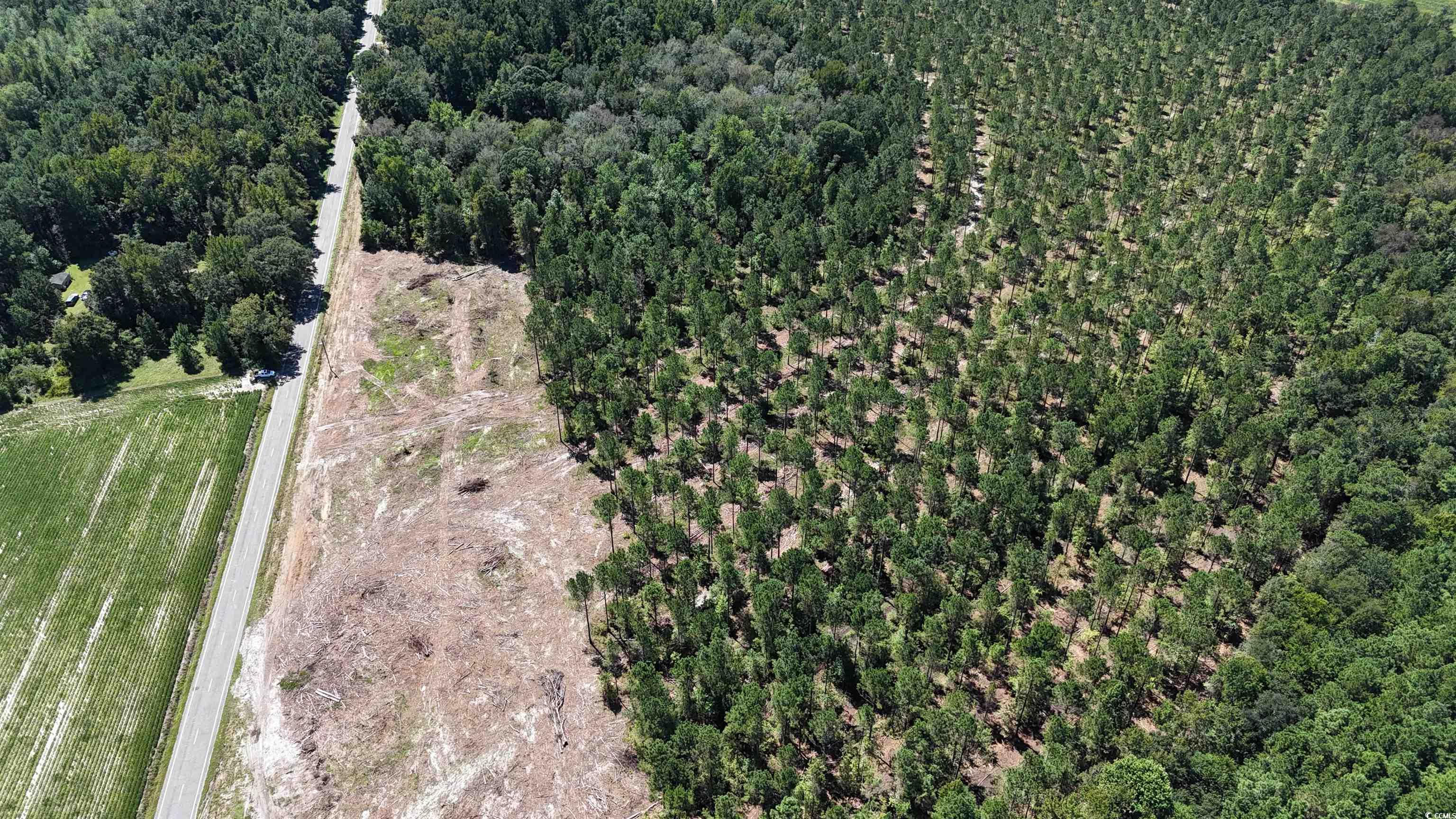 Tbd Highway 19 Property Photo 8