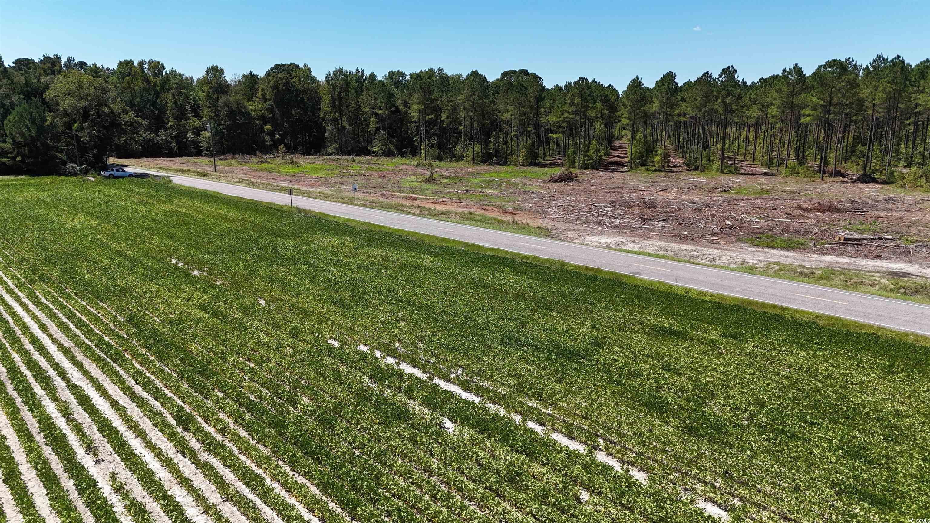 Tbd Highway 19 Property Photo 12