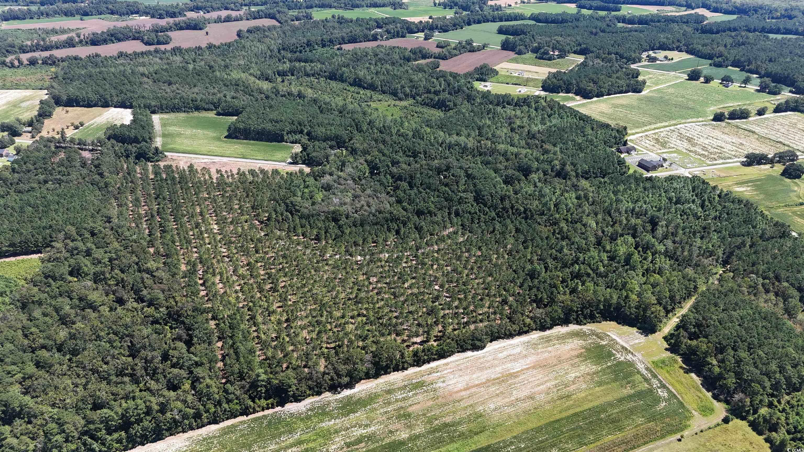 Tbd Highway 19 Property Photo 16