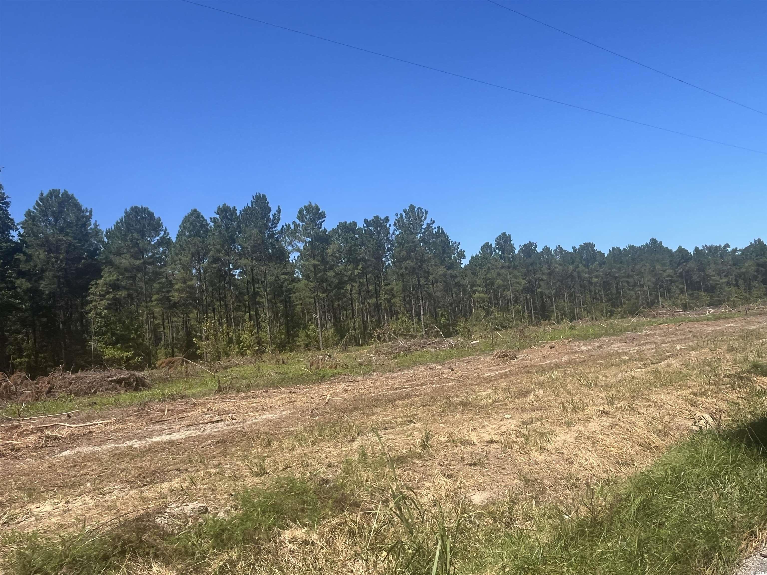 Tbd Highway 19 Property Photo 21