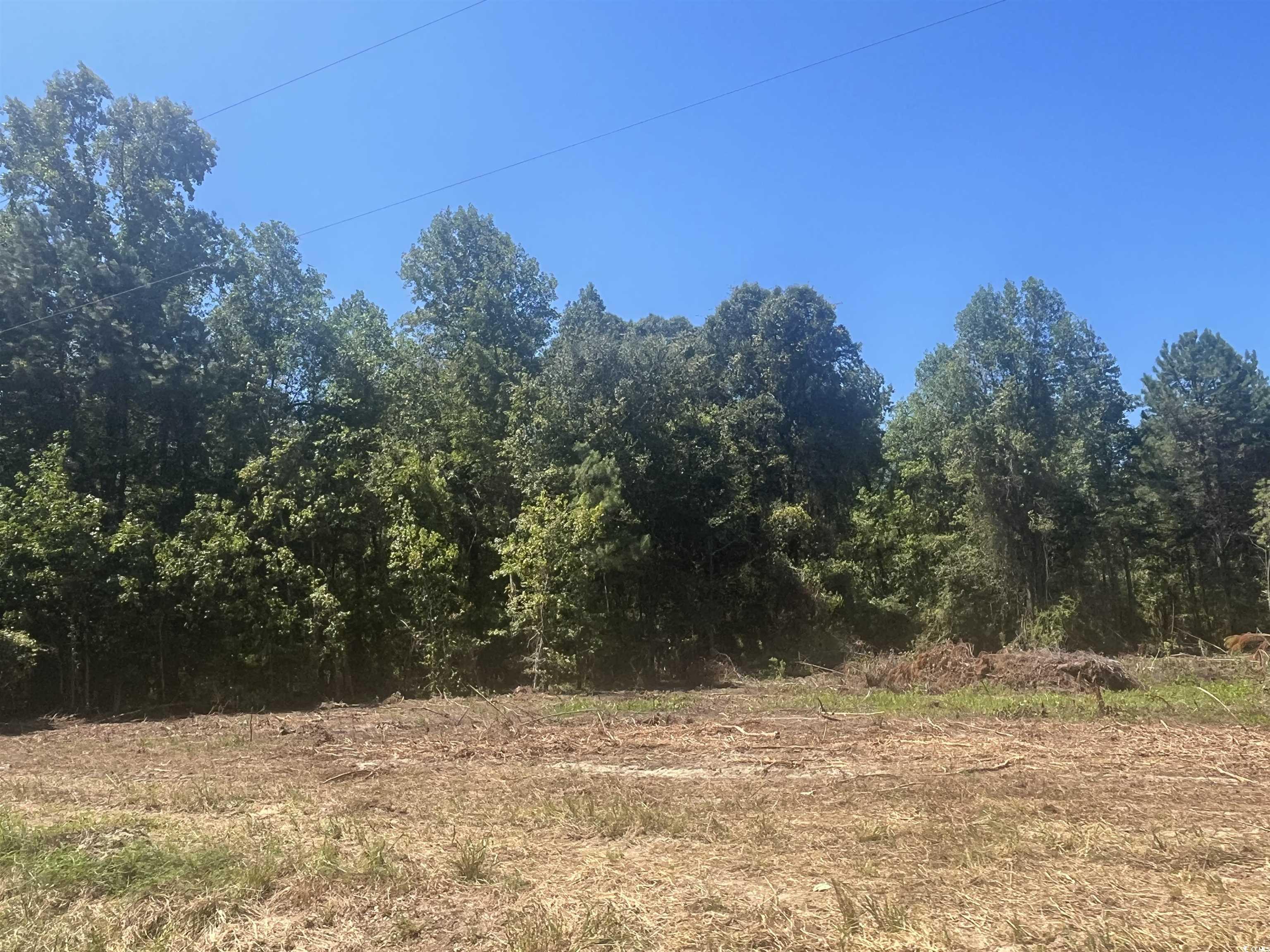 Tbd Highway 19 Property Photo 22
