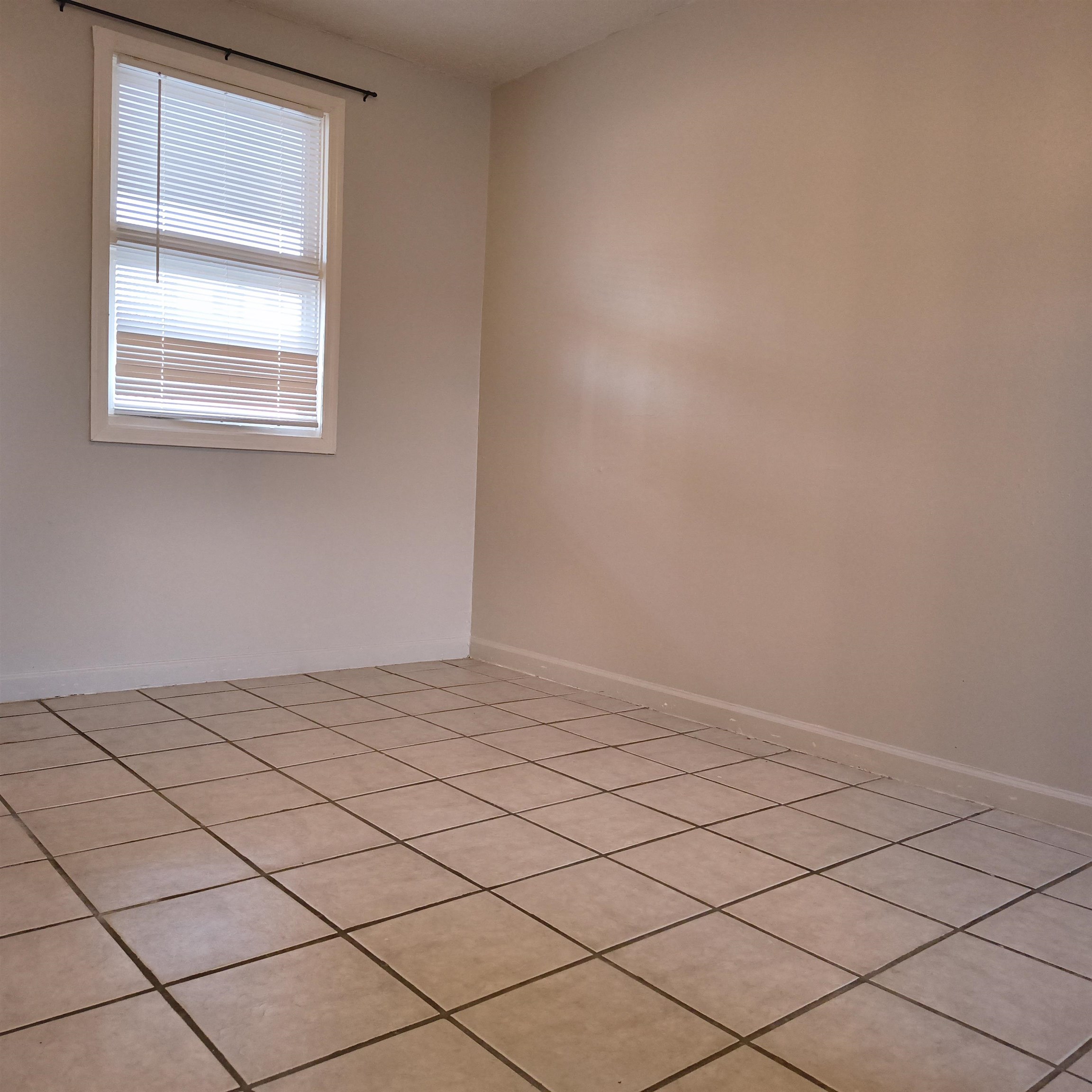 307 Flagg St. Property Photo 22