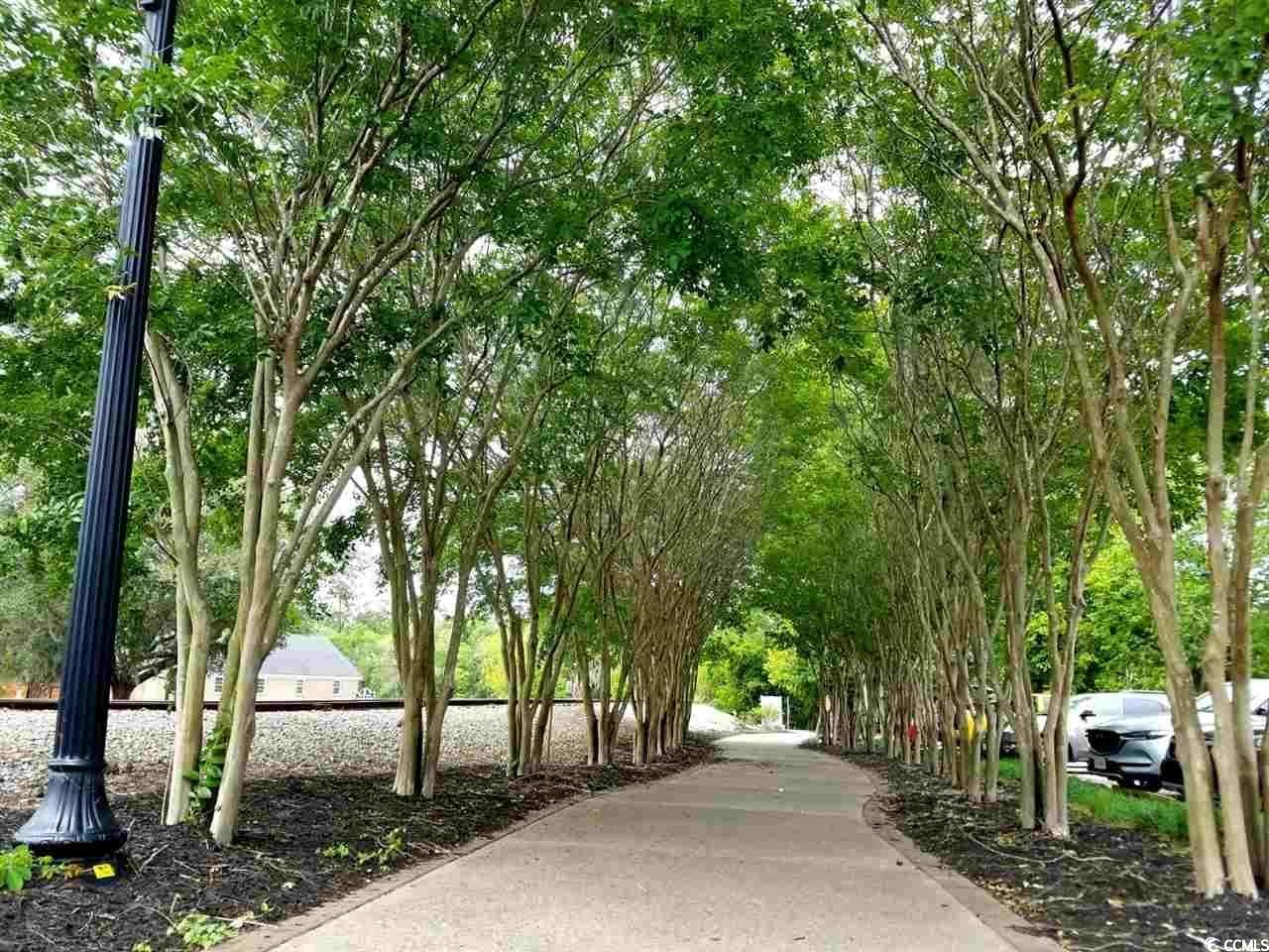 302 Kiskadee Loop Property Photo 39