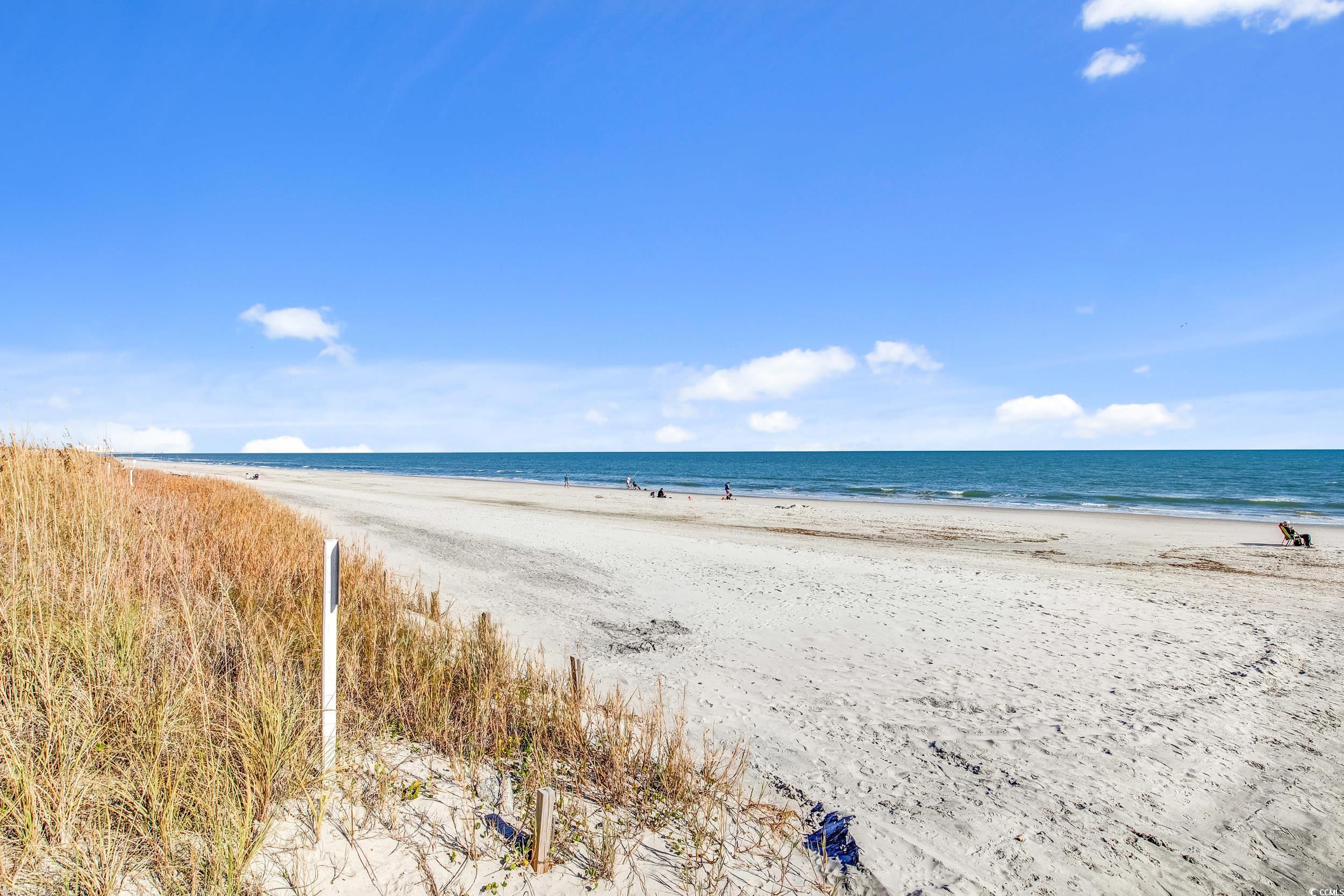 5905 S Kings Hwy. Property Photo 23