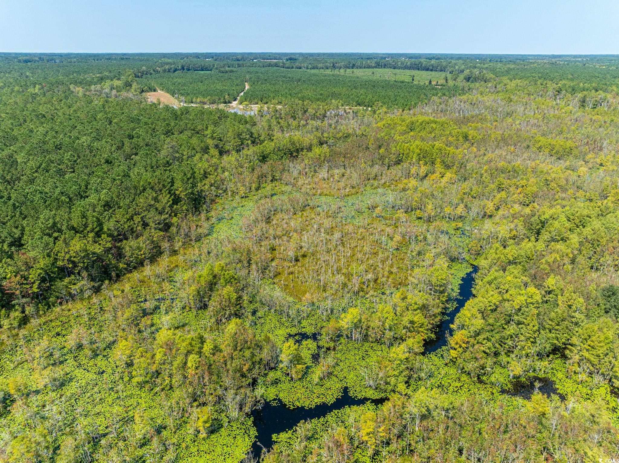 0 No Where Rd. Property Photo 19