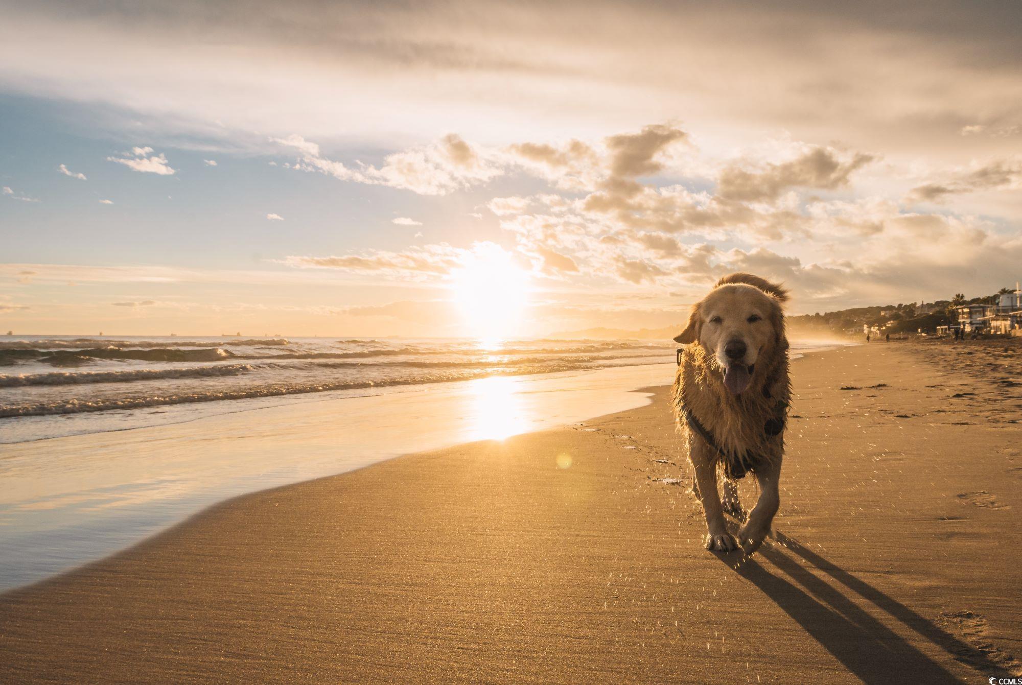 1322 Seachase Way Property Photo 7