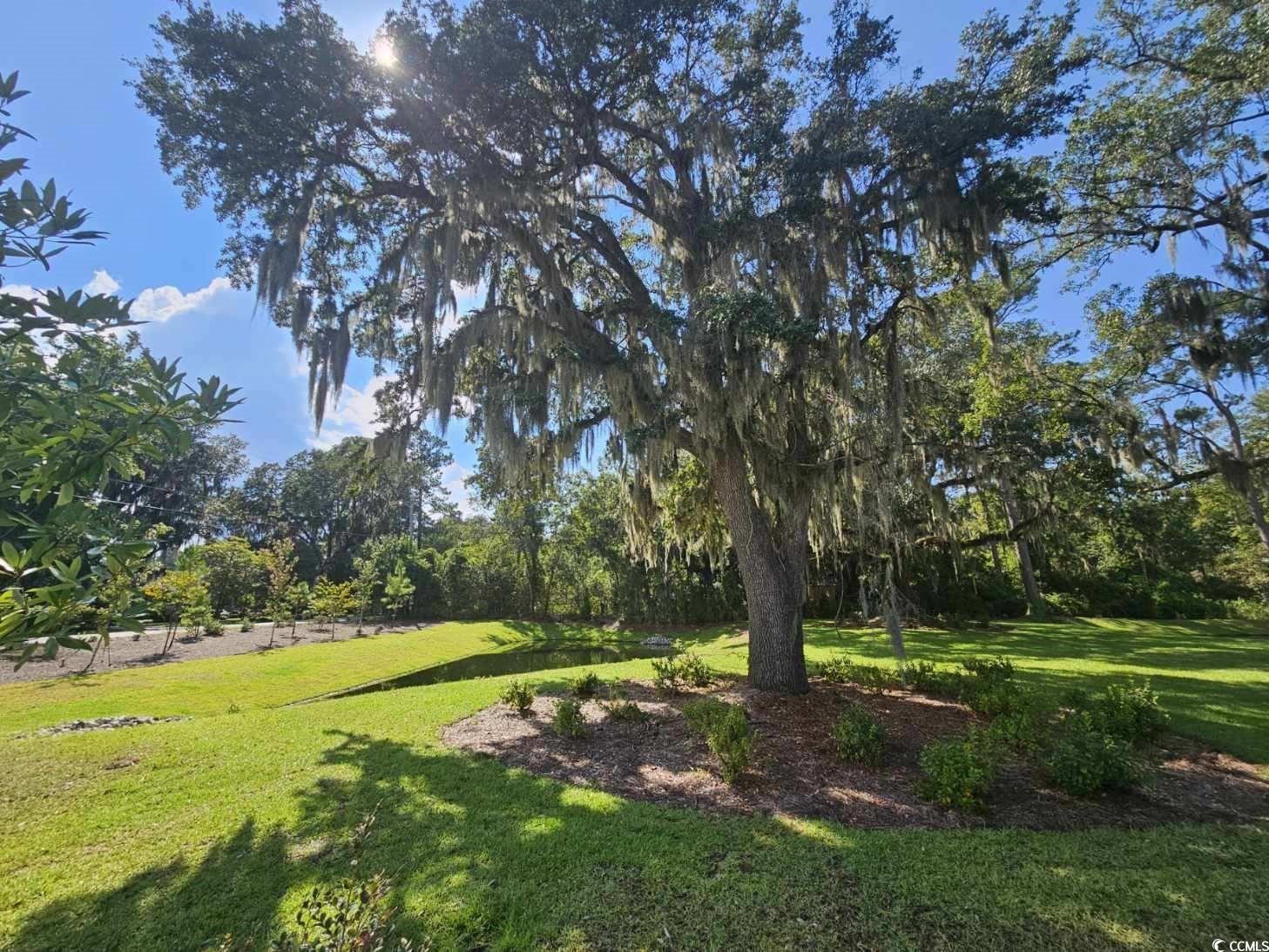 159 Harvest Gold Dr. Property Photo 25