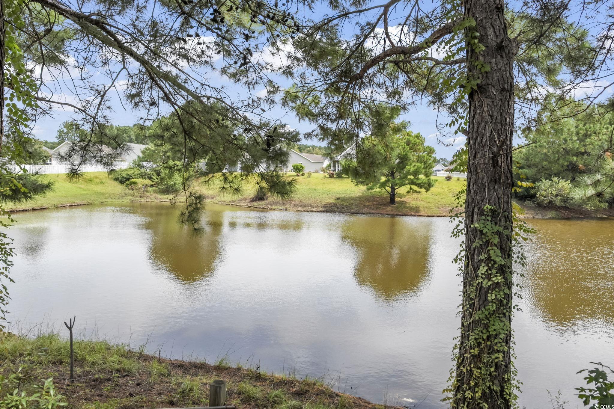 174 Heath Dr. Property Photo 36