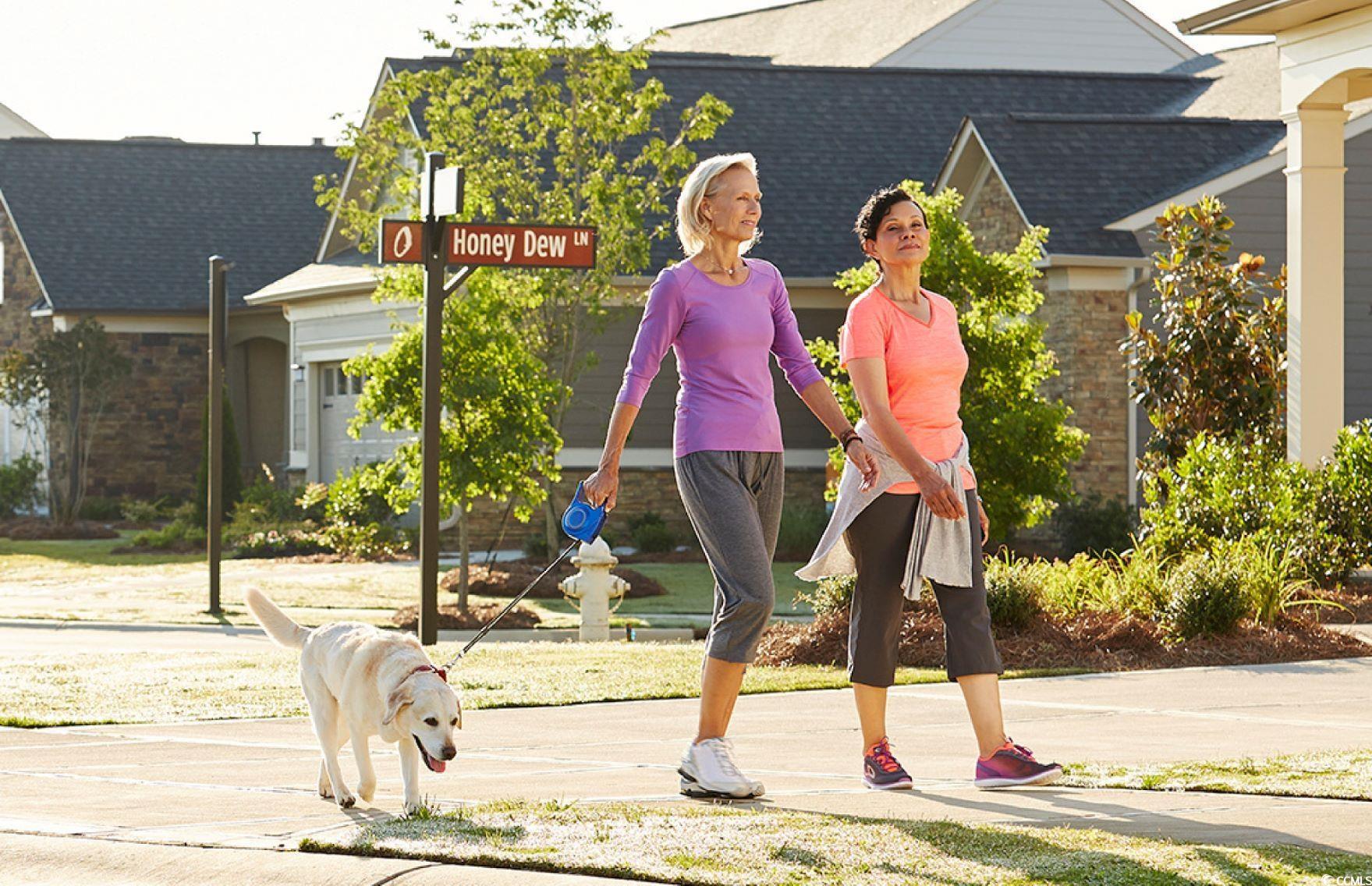 1181 Lady Bird Way Property Photo 21