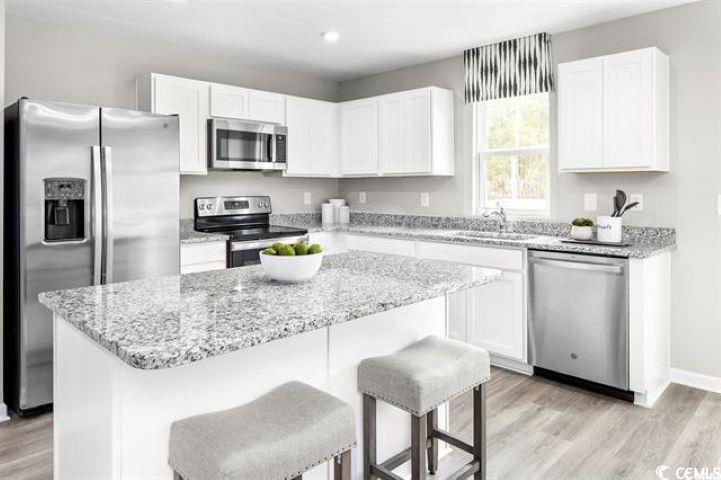 393 Myrtle Meadows Dr Property Photo 3