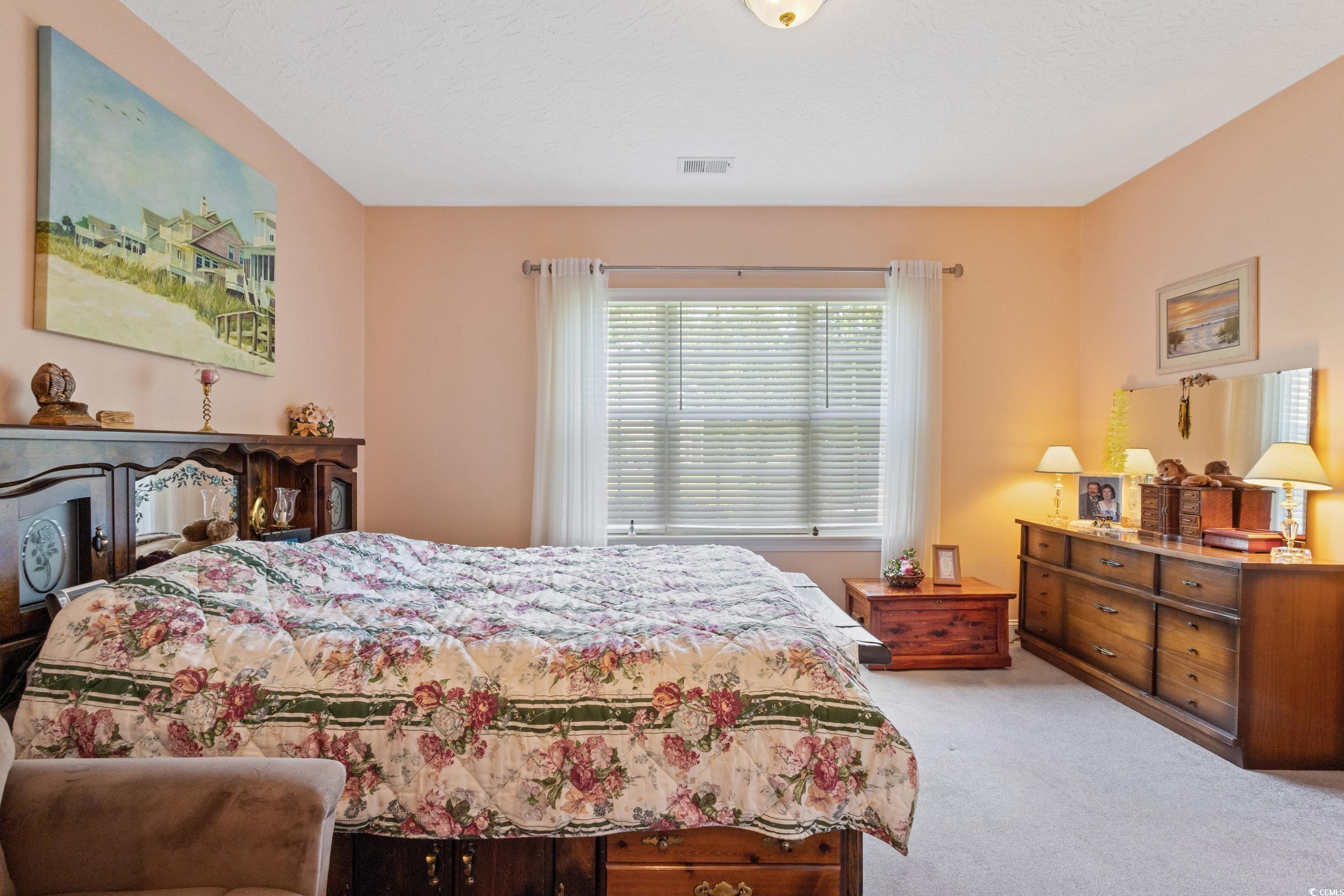 1141 Peace Pipe Ln. Property Photo 22