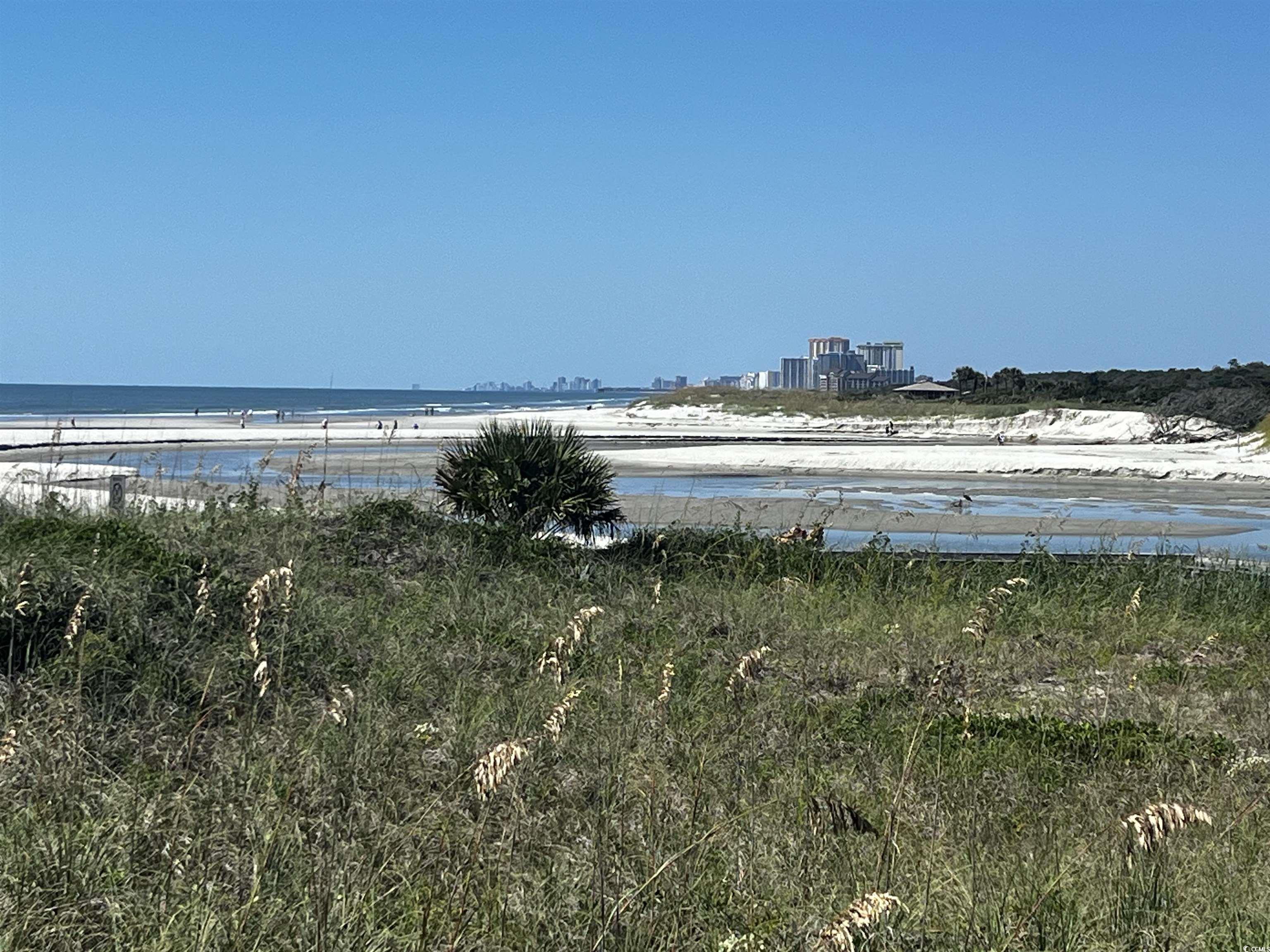 100 Ocean Creek Dr. Property Photo 24