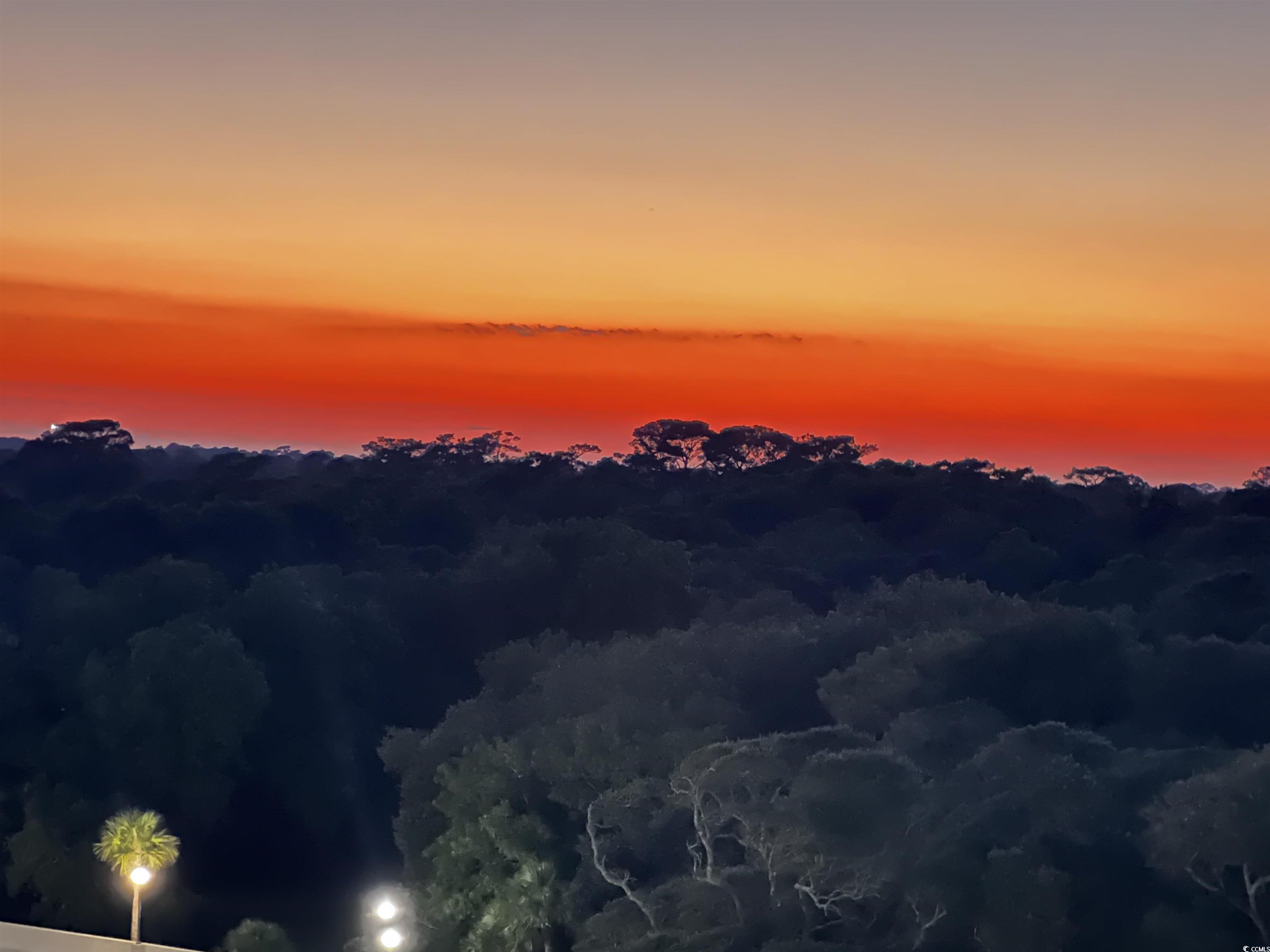 100 Ocean Creek Dr. Property Photo 33