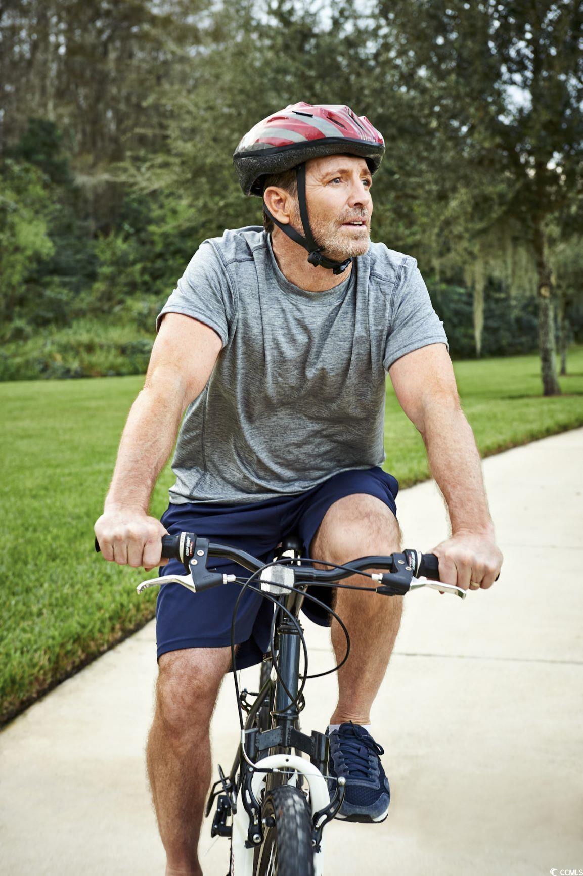 1217 Beeblossom Dr. Property Photo 34