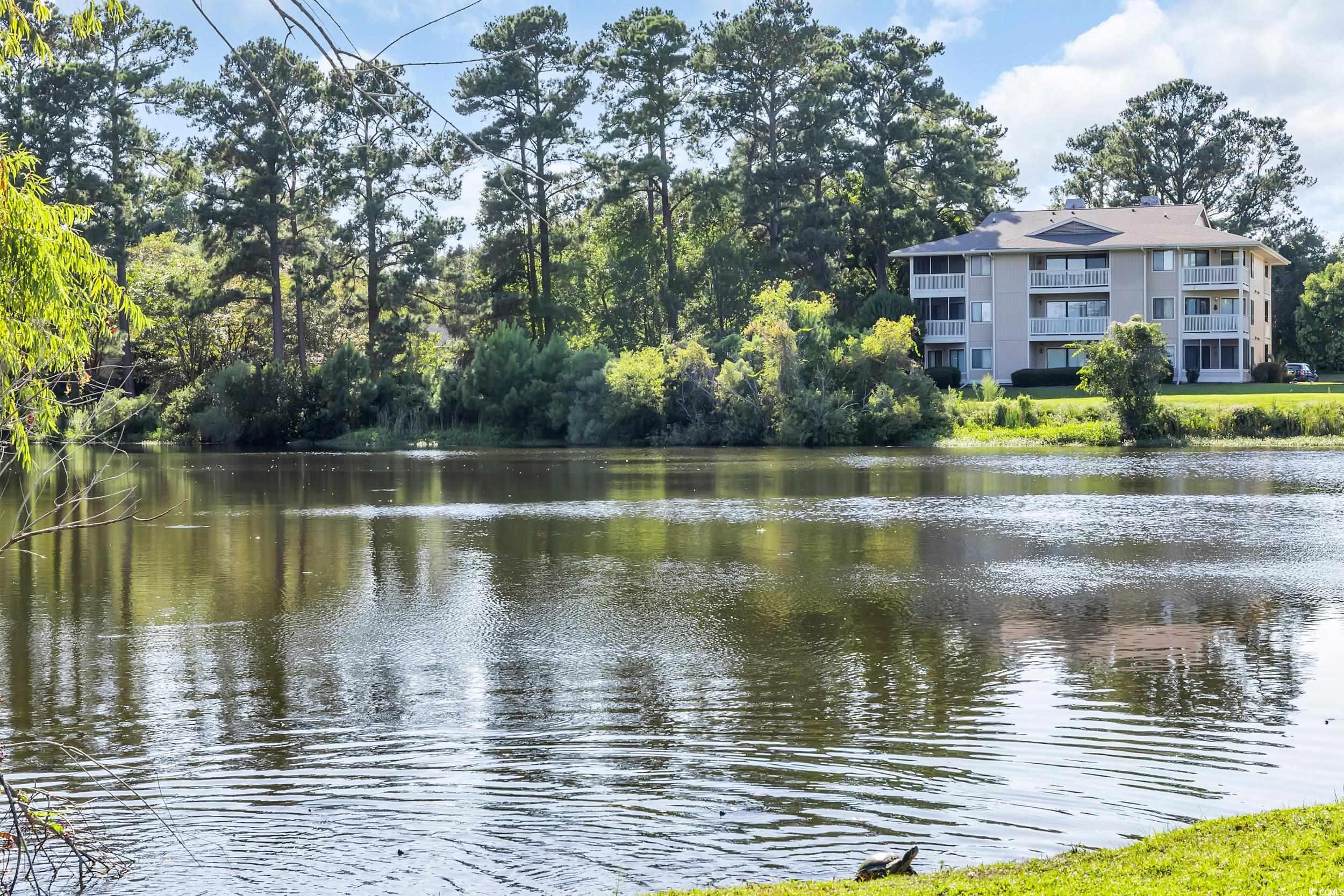 4207 Pinehurst Circle Property Photo 33