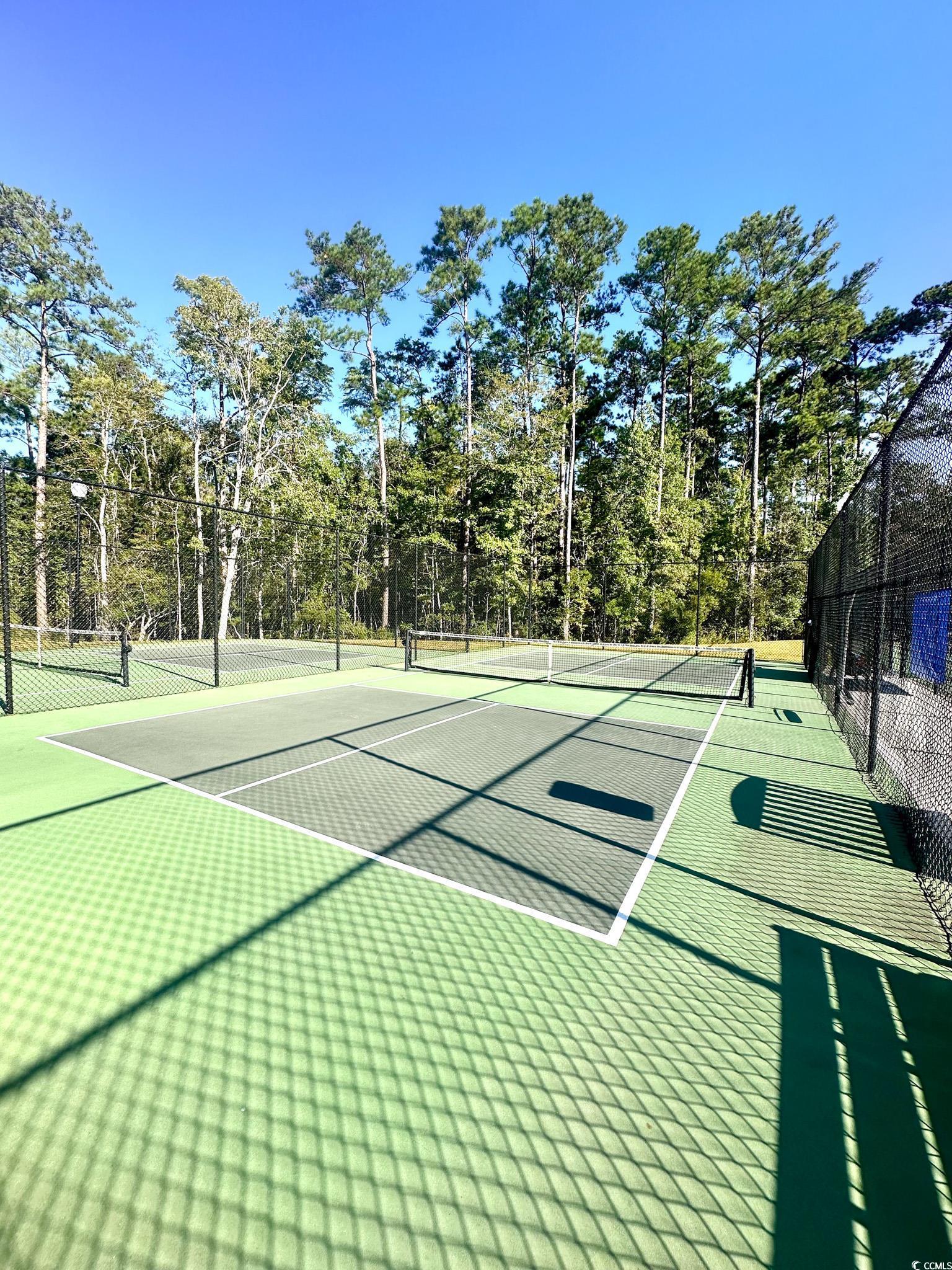 761 Dreamland Dr. Property Photo 39