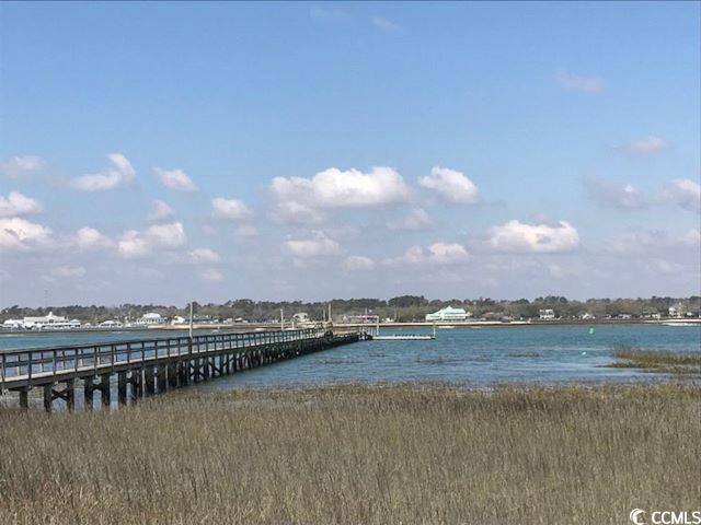 1582 S Waccamaw Dr. Property Photo 2