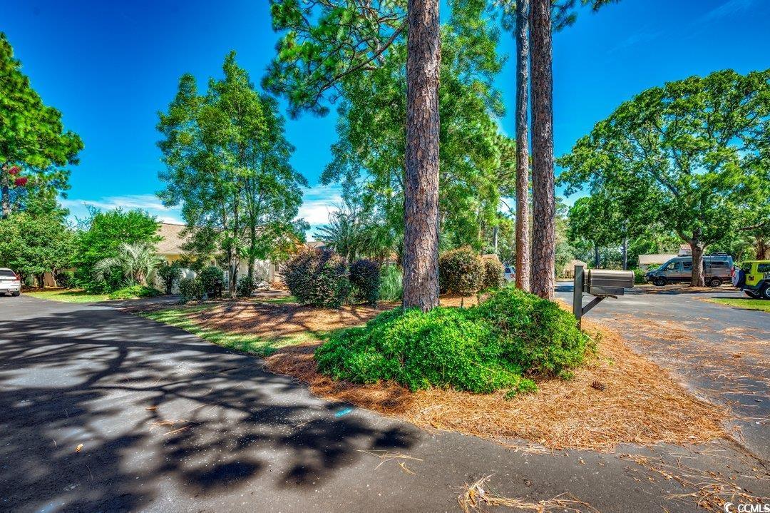 8 Martinique Dr. Property Photo 35