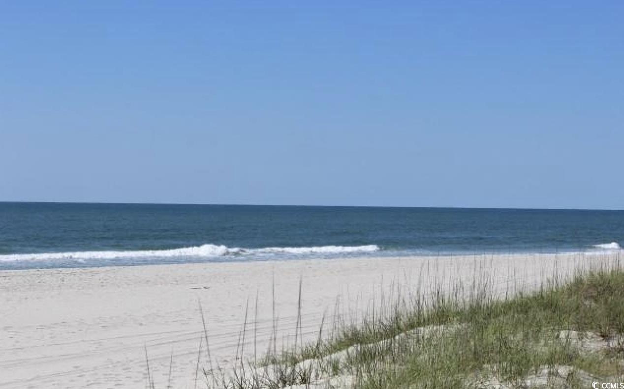 8 Martinique Dr. Property Photo 37