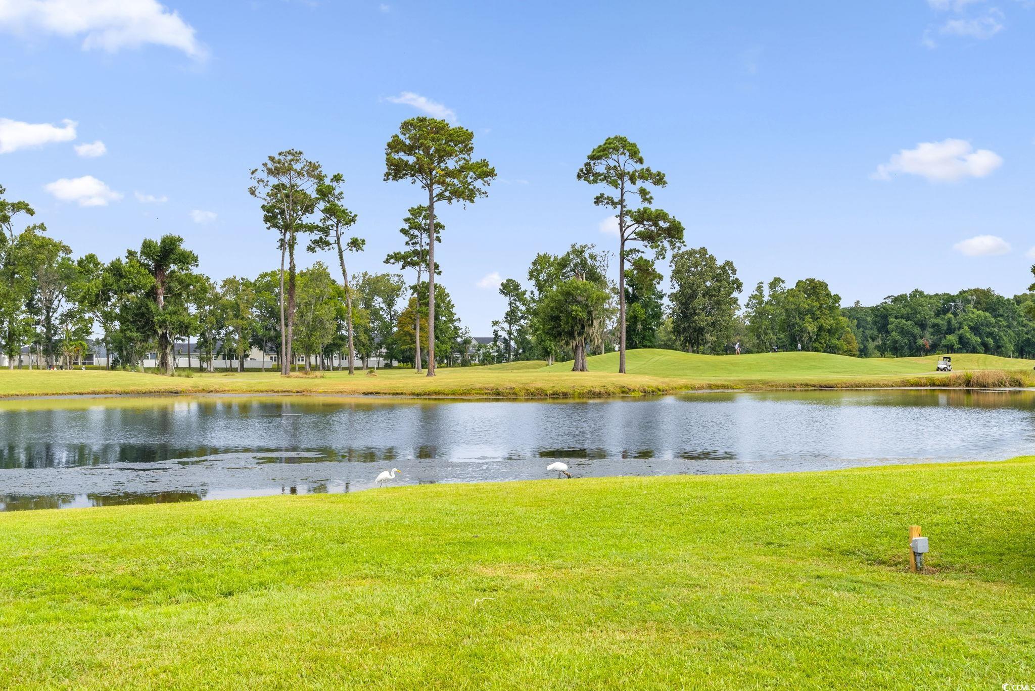 549 White River Dr. Property Photo 34