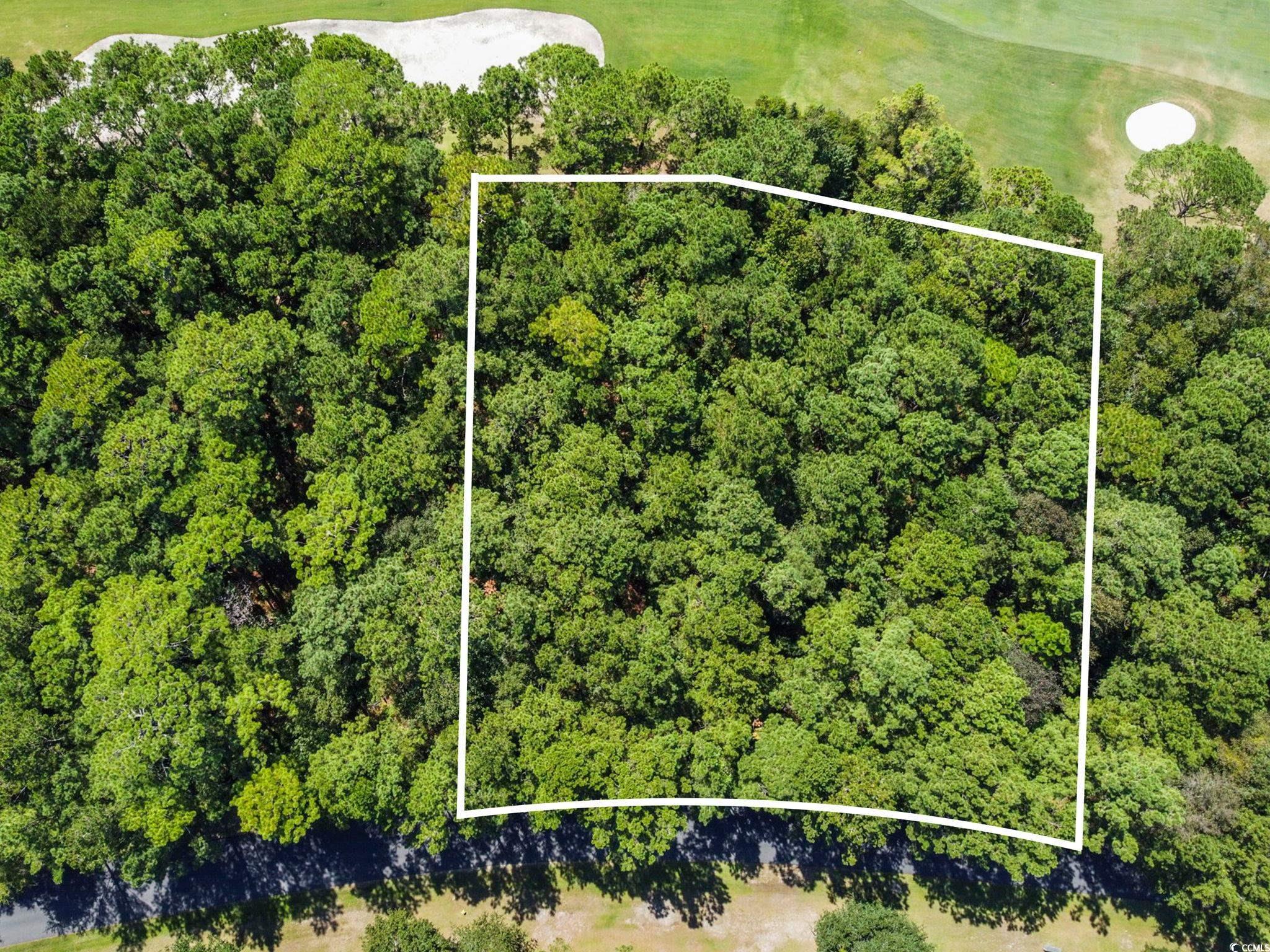 Lot 305 Wallace Pate Dr. Property Photo 1