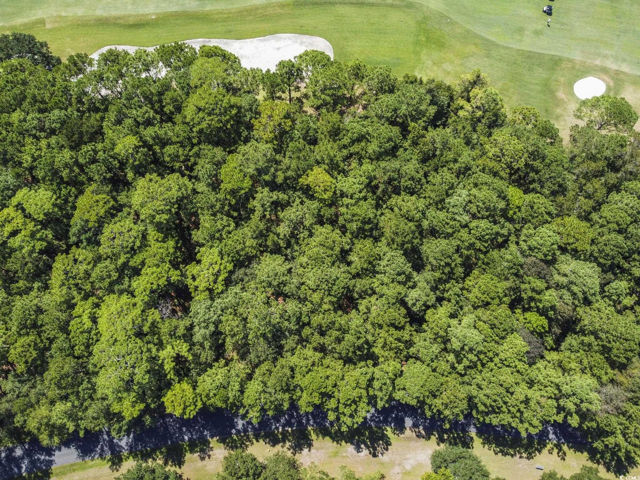 Lot 305 Wallace Pate Dr. Property Photo 2