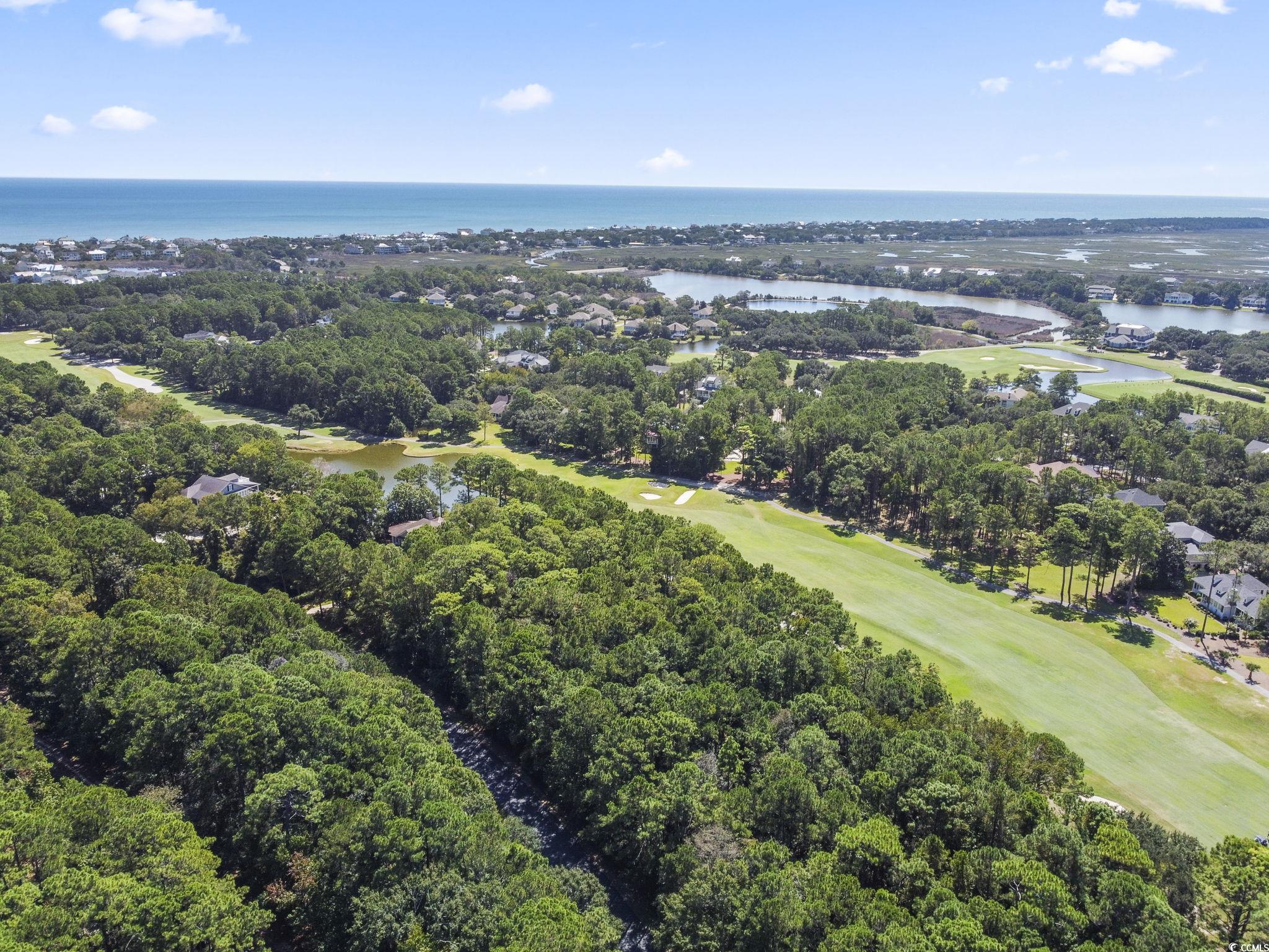Lot 305 Wallace Pate Dr. Property Photo 3