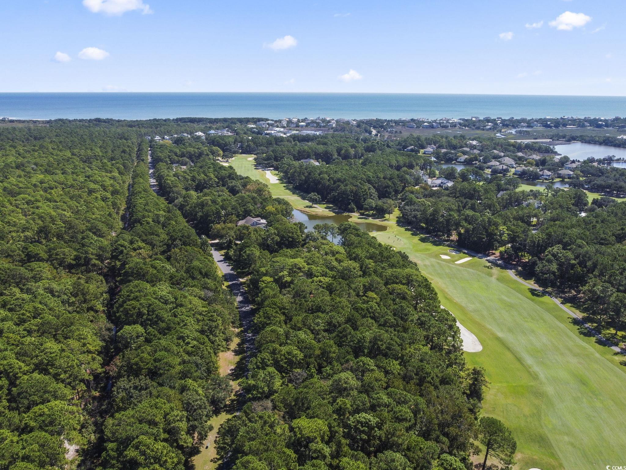 Lot 305 Wallace Pate Dr. Property Photo 4