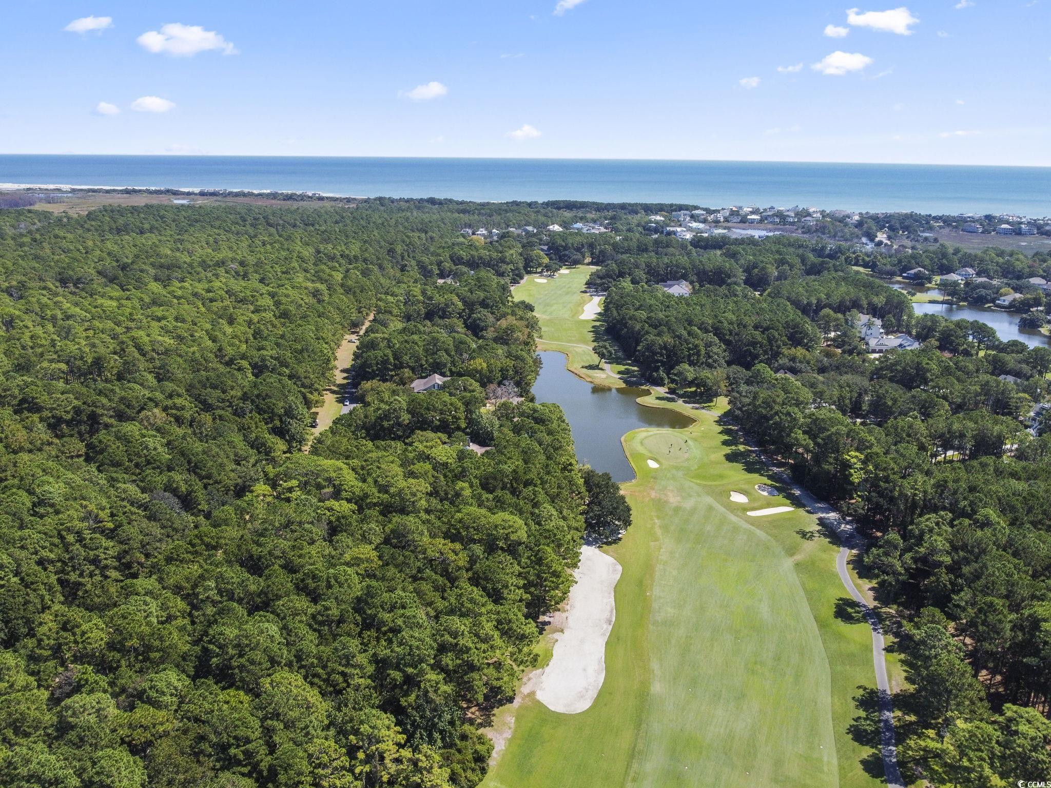 Lot 305 Wallace Pate Dr. Property Photo 5