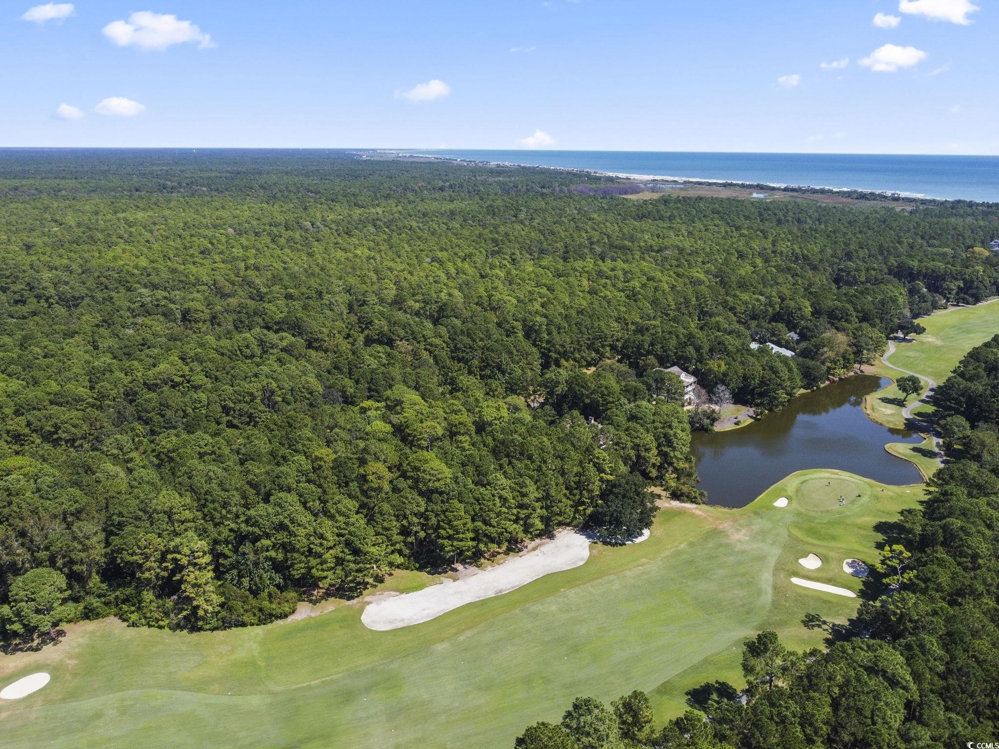 Lot 305 Wallace Pate Dr. Property Photo 6
