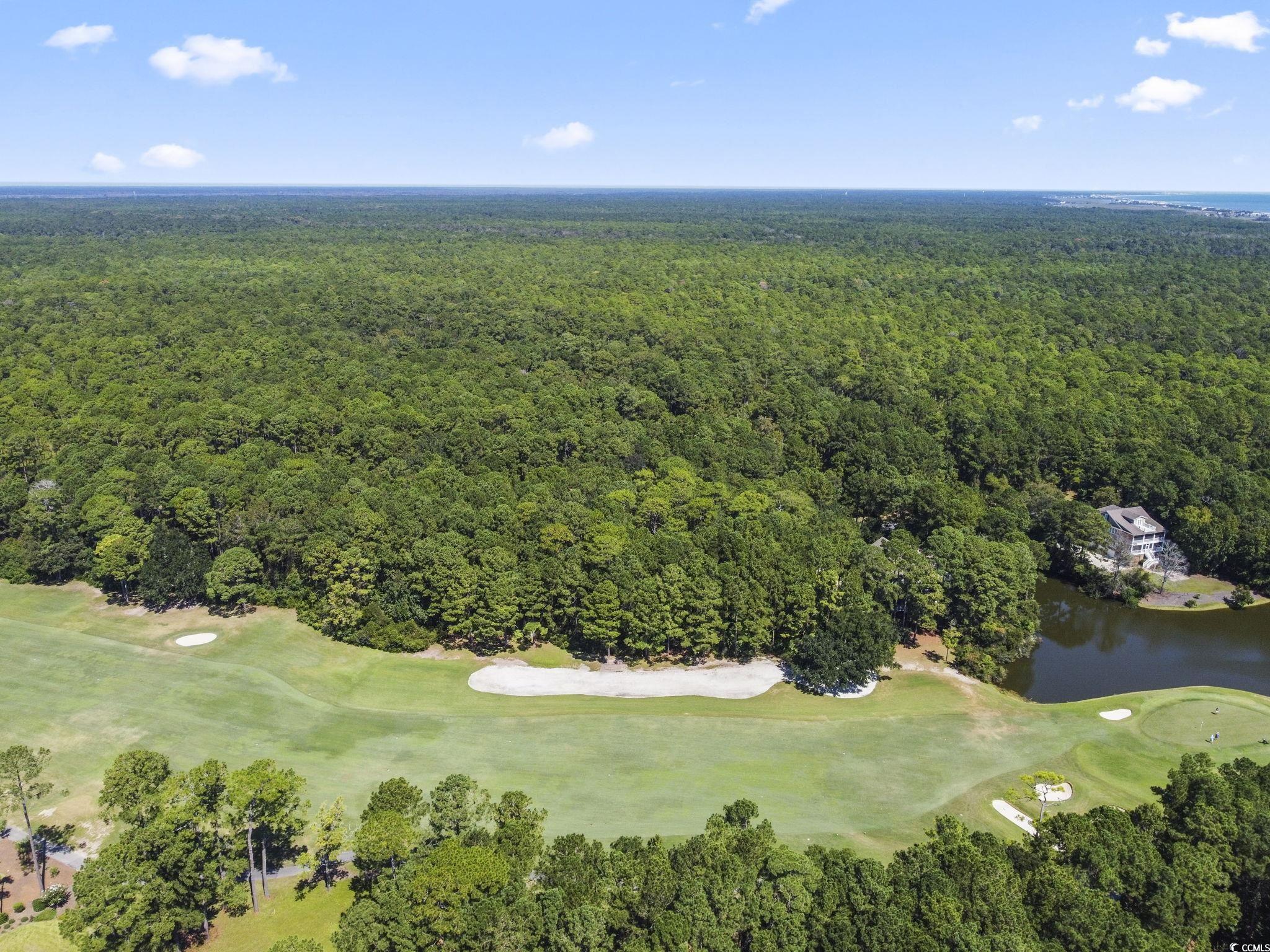 Lot 305 Wallace Pate Dr. Property Photo 7