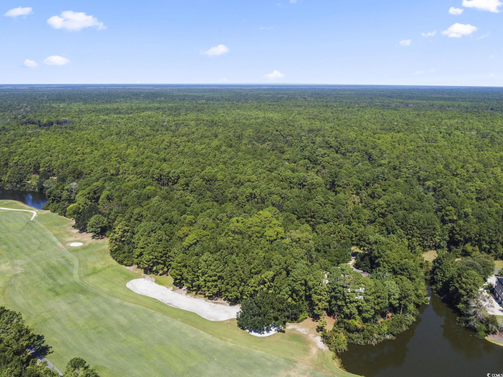 Lot 305 Wallace Pate Dr. Property Photo 8