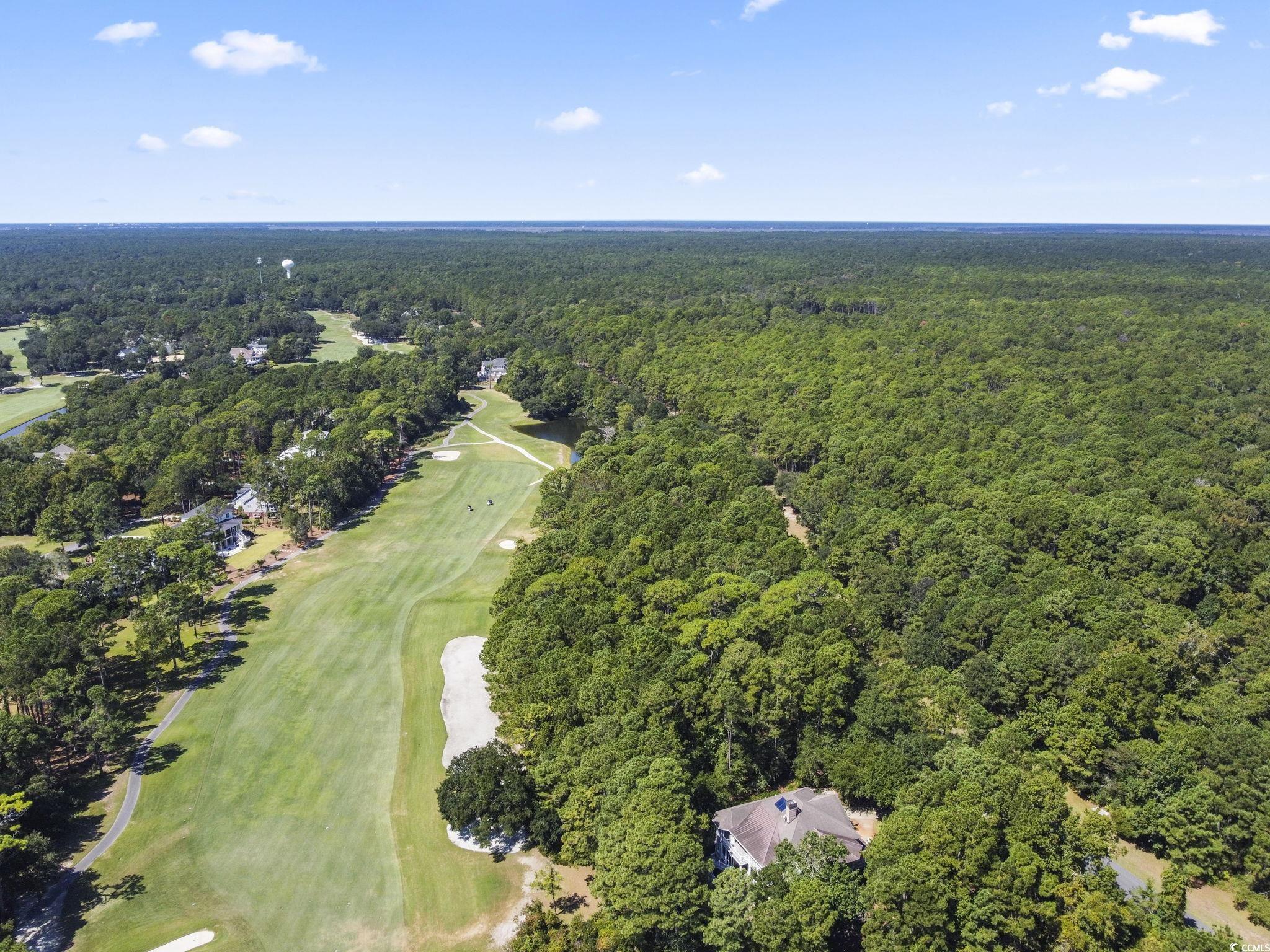 Lot 305 Wallace Pate Dr. Property Photo 9